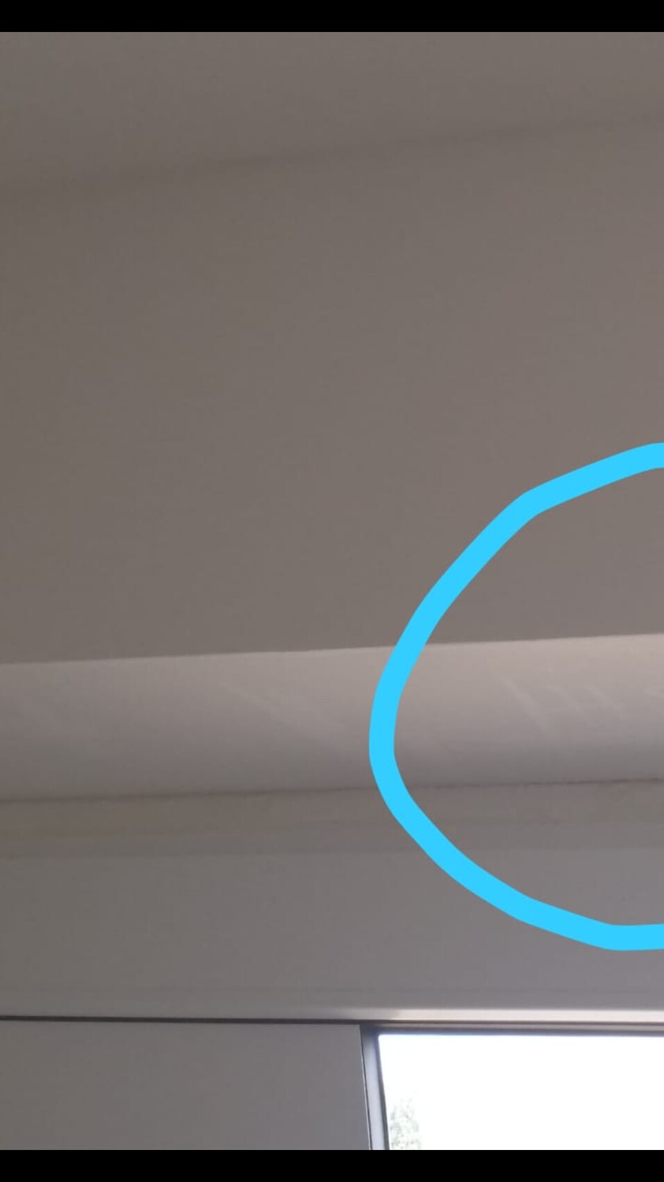 Innenraum: Decke, obere Wand und Fensterbereich; blauer Kreis markiert eine weiße Deckenleiste an der Wand.