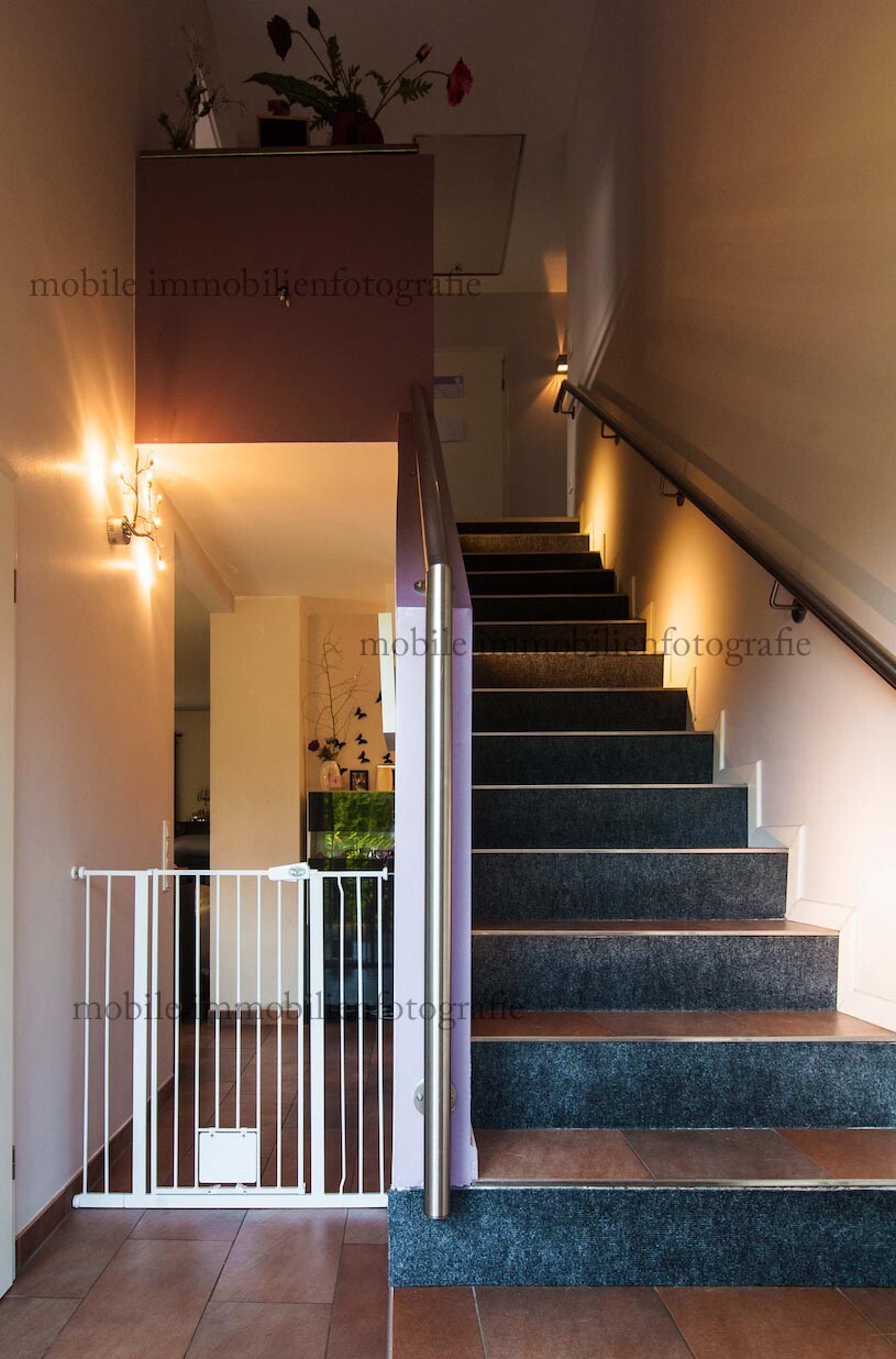 Innenansicht: Treppe mit blauem Teppich, Geländer rechts, Türbereich links, warmes Licht