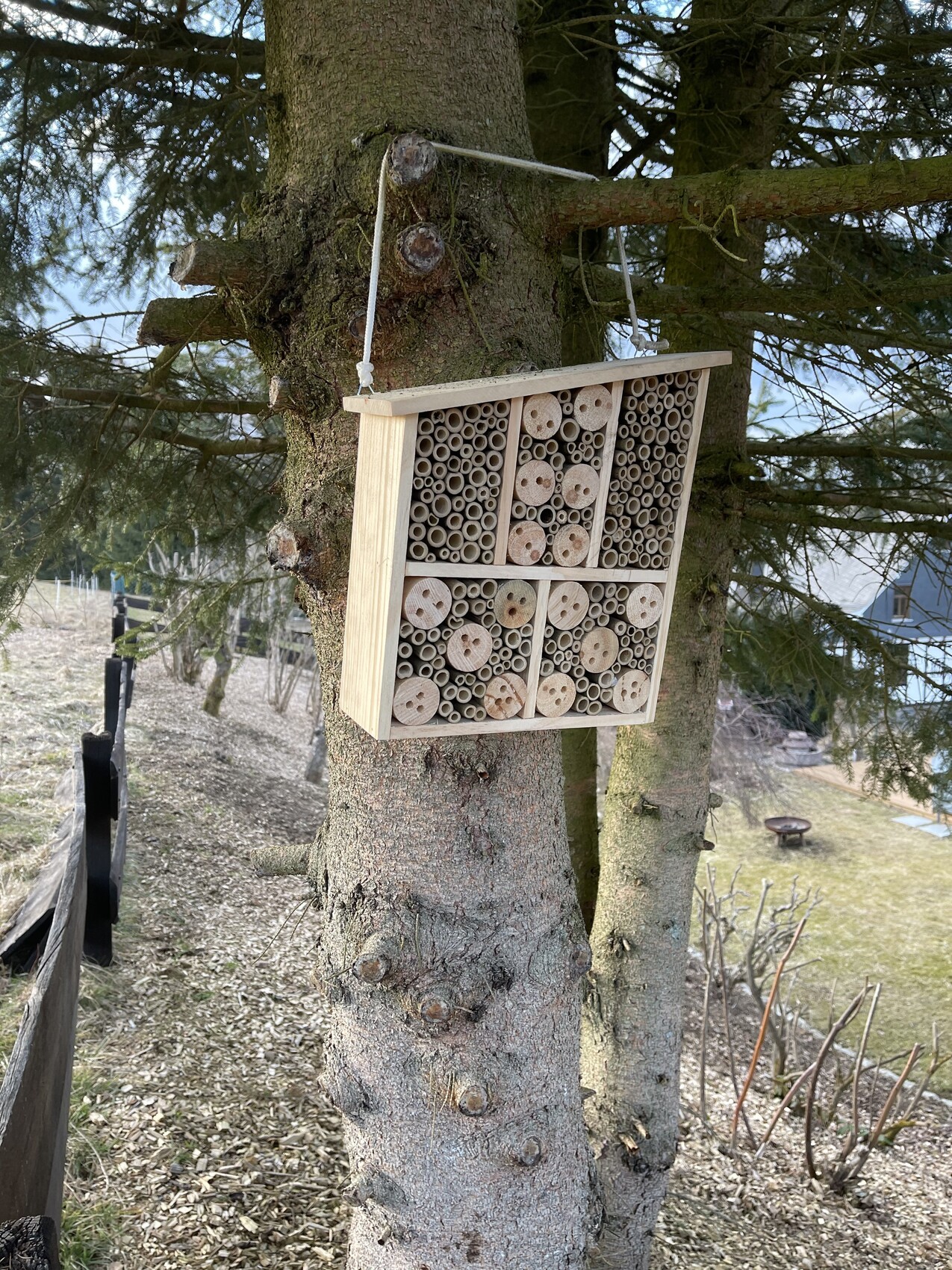 Hängendes Holz-Insektenhotel mit Röhren- und Scheibenfächern am Baum.