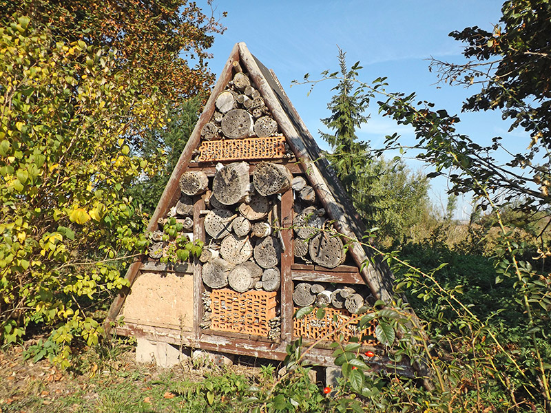 insektenhotel-richtig-planen-tipps-gesucht-370335-2.jpg