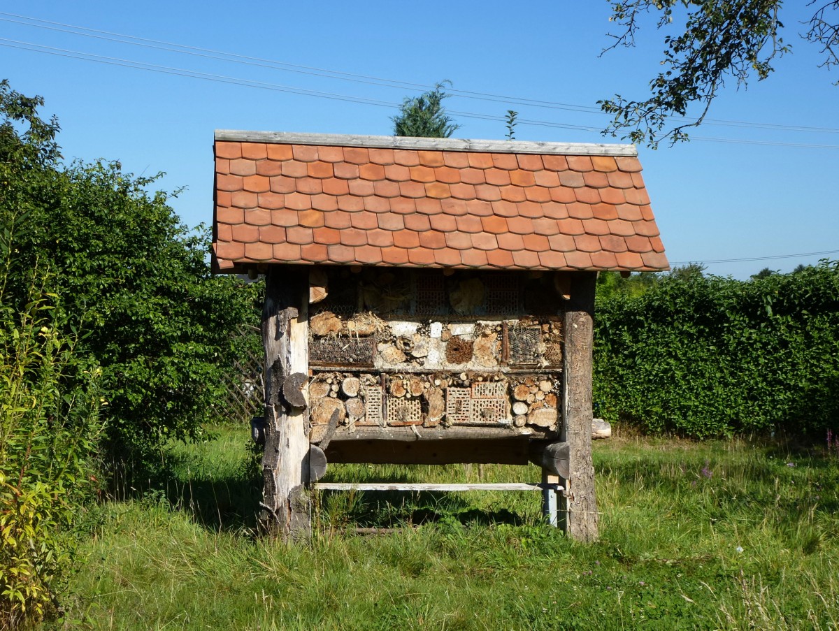 insektenhotel-richtig-planen-tipps-gesucht-370443-1.jpg