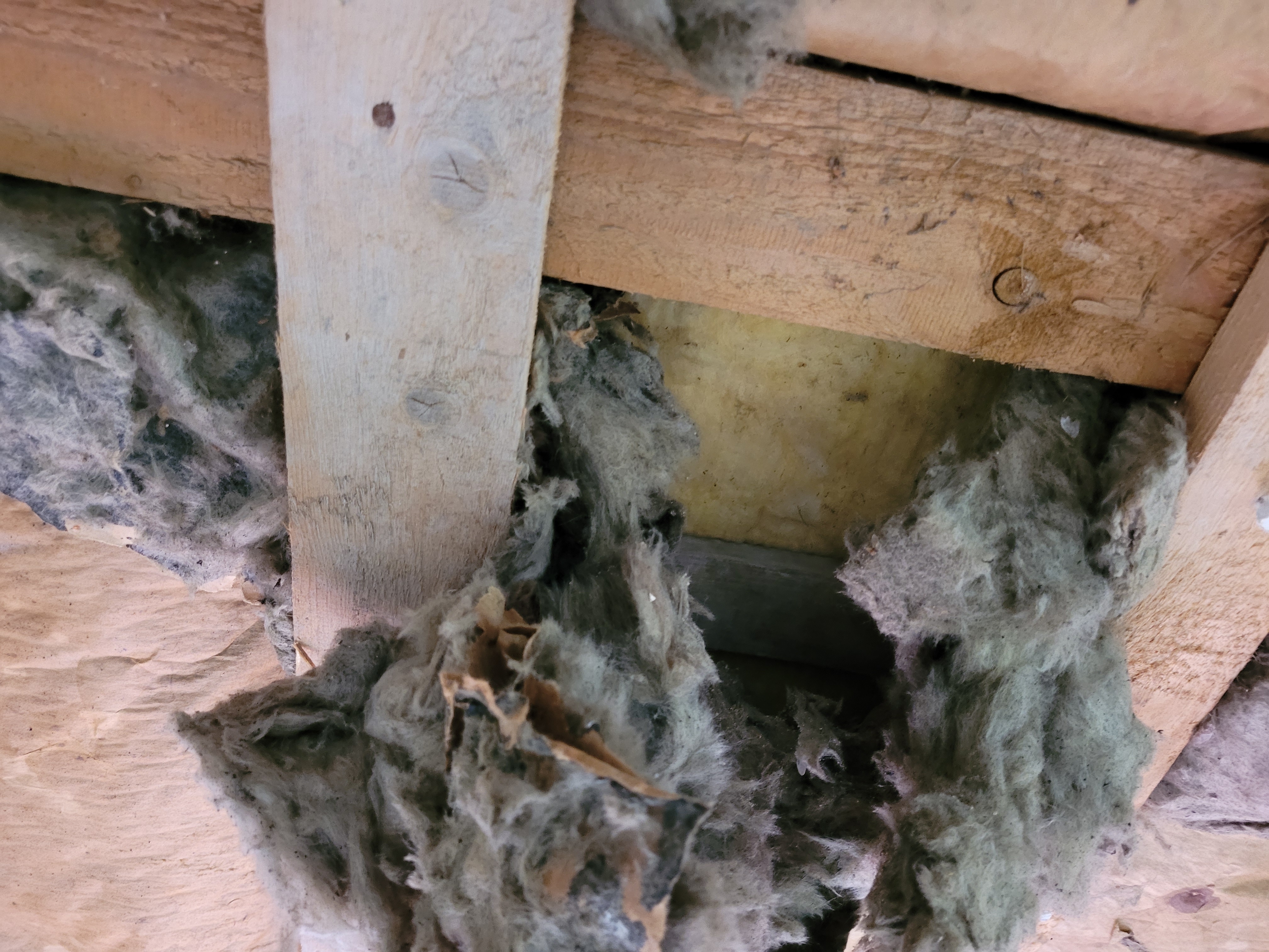 ᐅ Ist Asbest in der Dämmwolle drin?