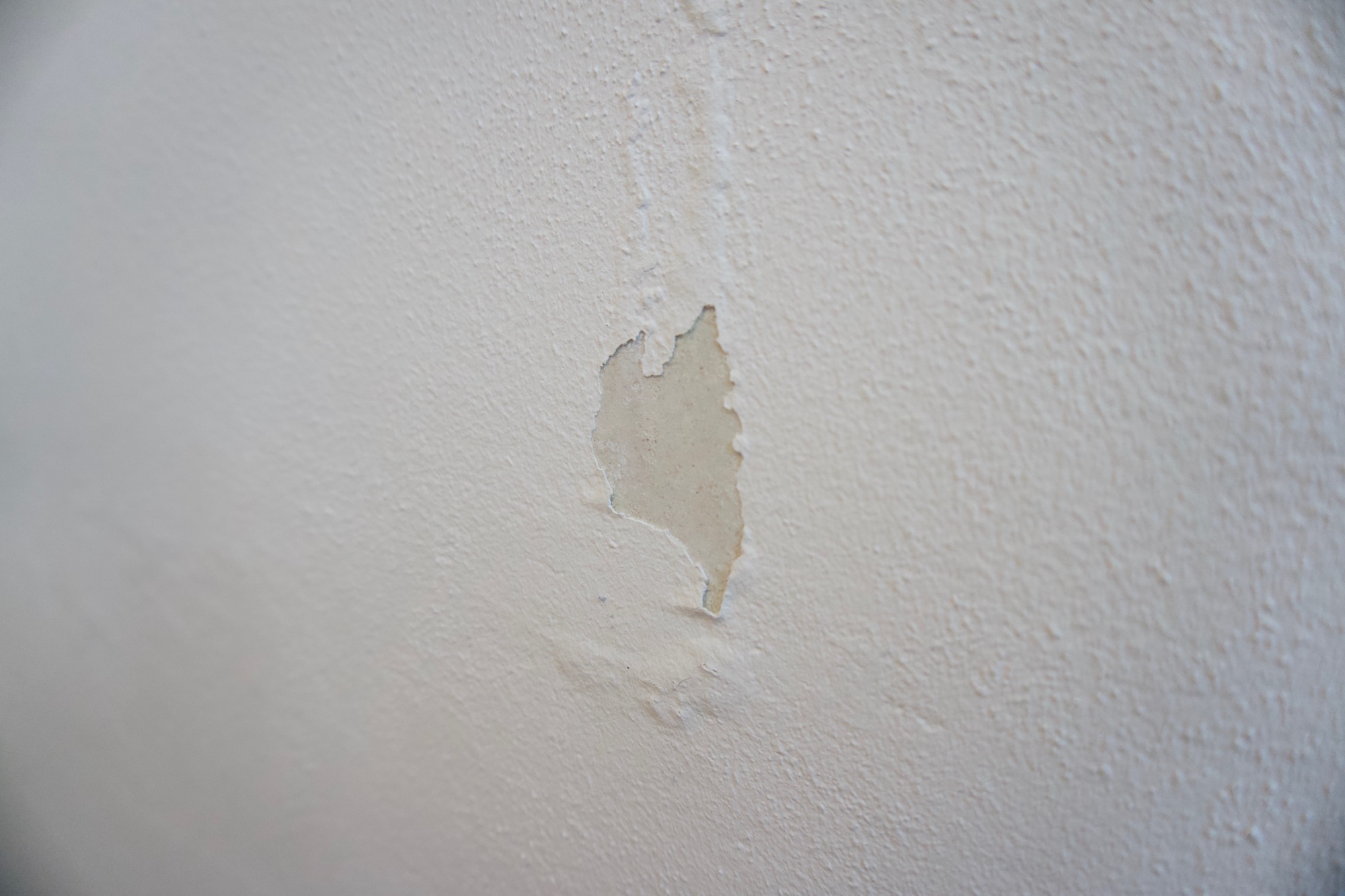 ist-da-schimmel-in-der-wand-oder-feuchtigkeit-297806-1.jpeg