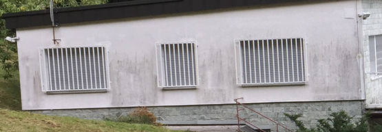 ist-das-schimmel-164454-1.png