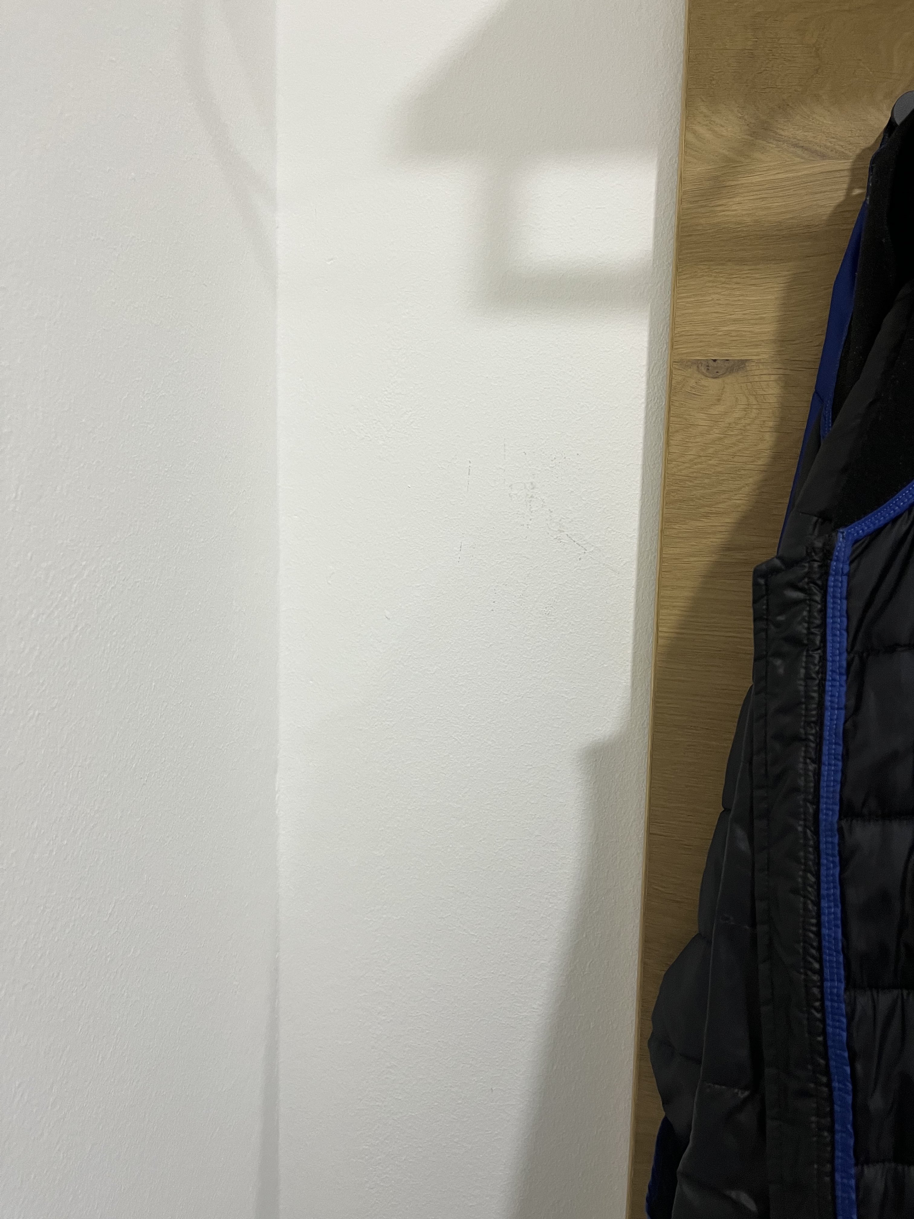 ist-das-schimmel-an-der-wand-komische-flecken-565831-1.jpeg
