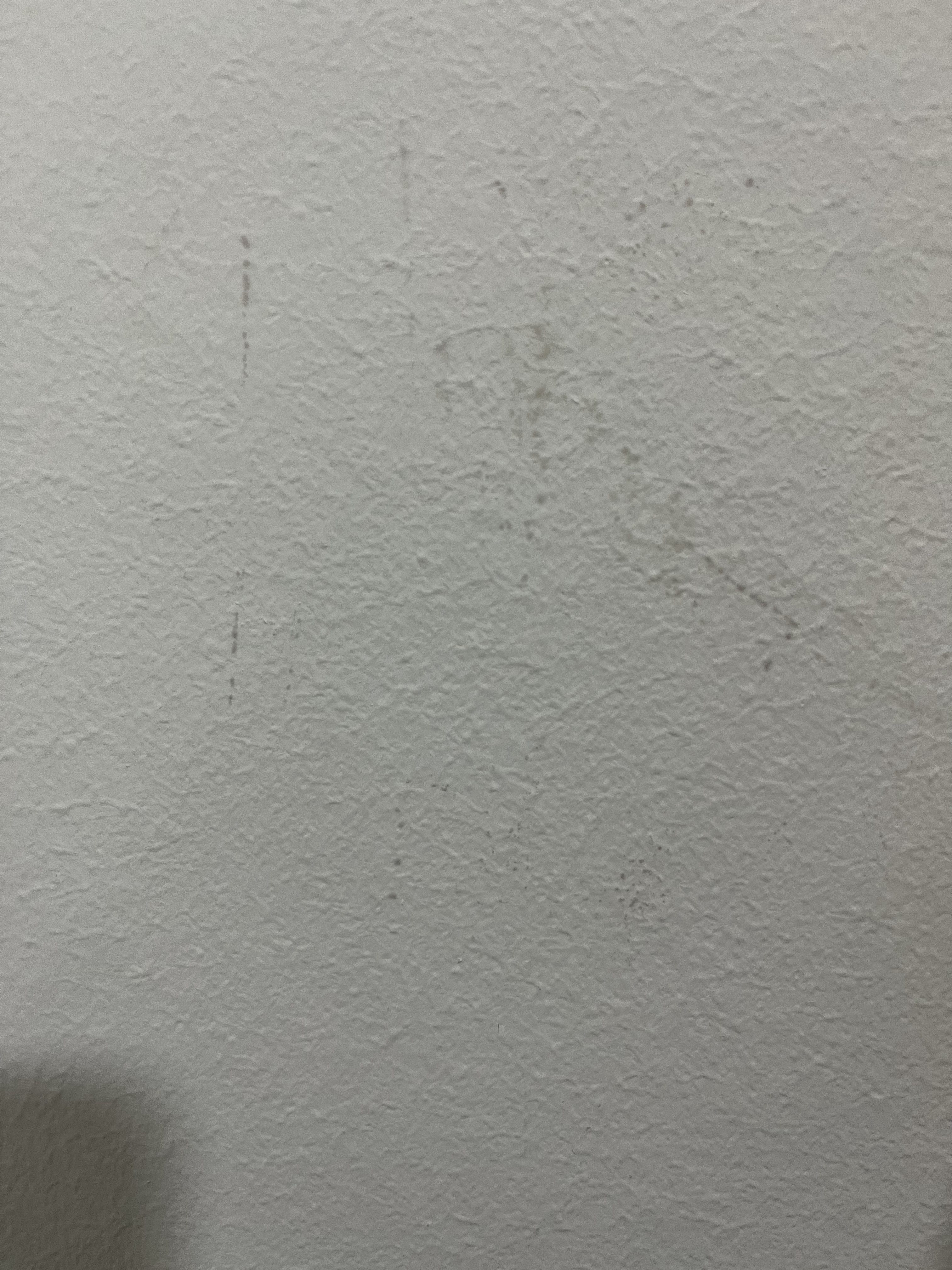 ist-das-schimmel-an-der-wand-komische-flecken-565831-3.jpeg