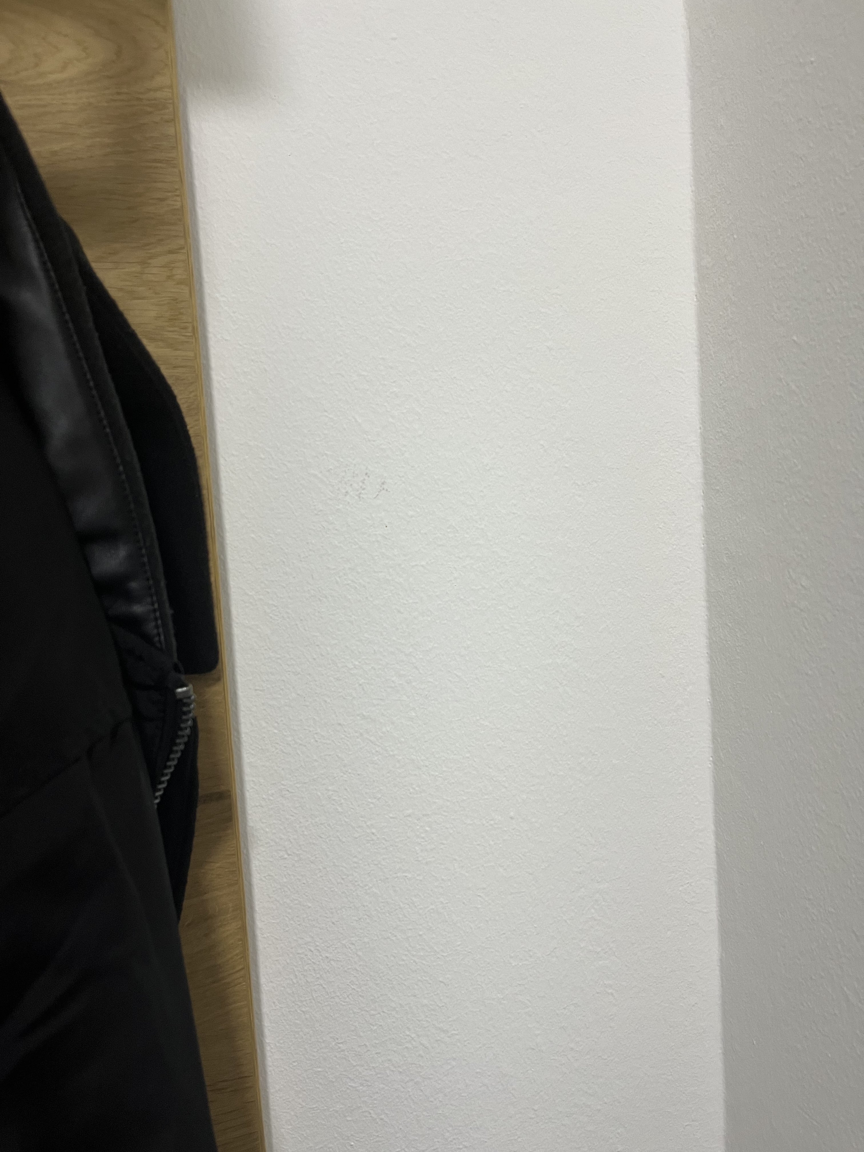 ist-das-schimmel-an-der-wand-komische-flecken-565831-5.jpeg