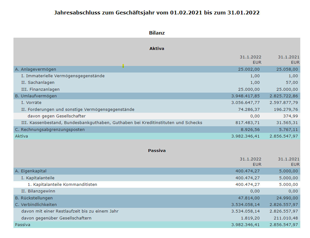 Jahresabschluss-Bilanz 01.02.2021–31.01.2022 mit Aktiva und Passiva
