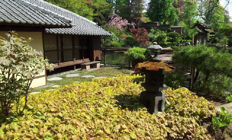 Japanischer Garten mit Holzhütte, Steinlaterne und dichter Hecke.