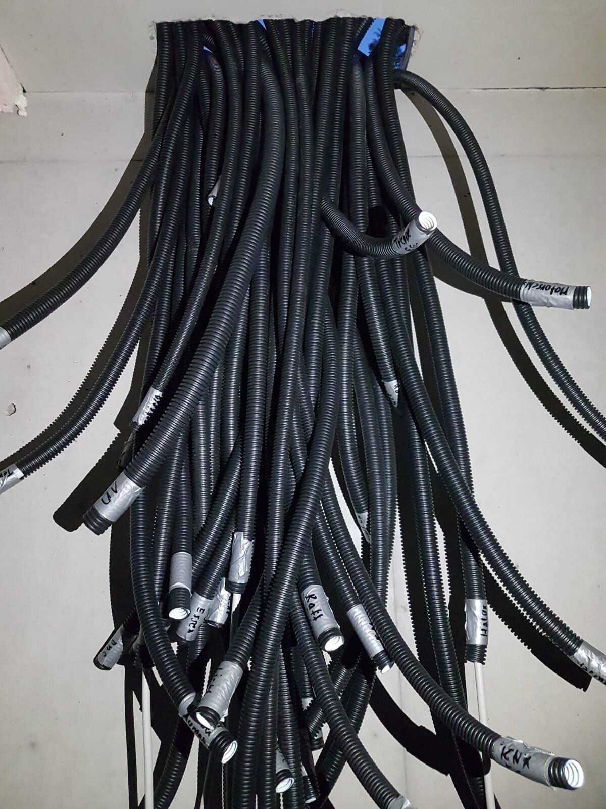 Viele schwarze flexible Kabelschläuche mit Etiketten hängen als Bündel von der Decke herab.