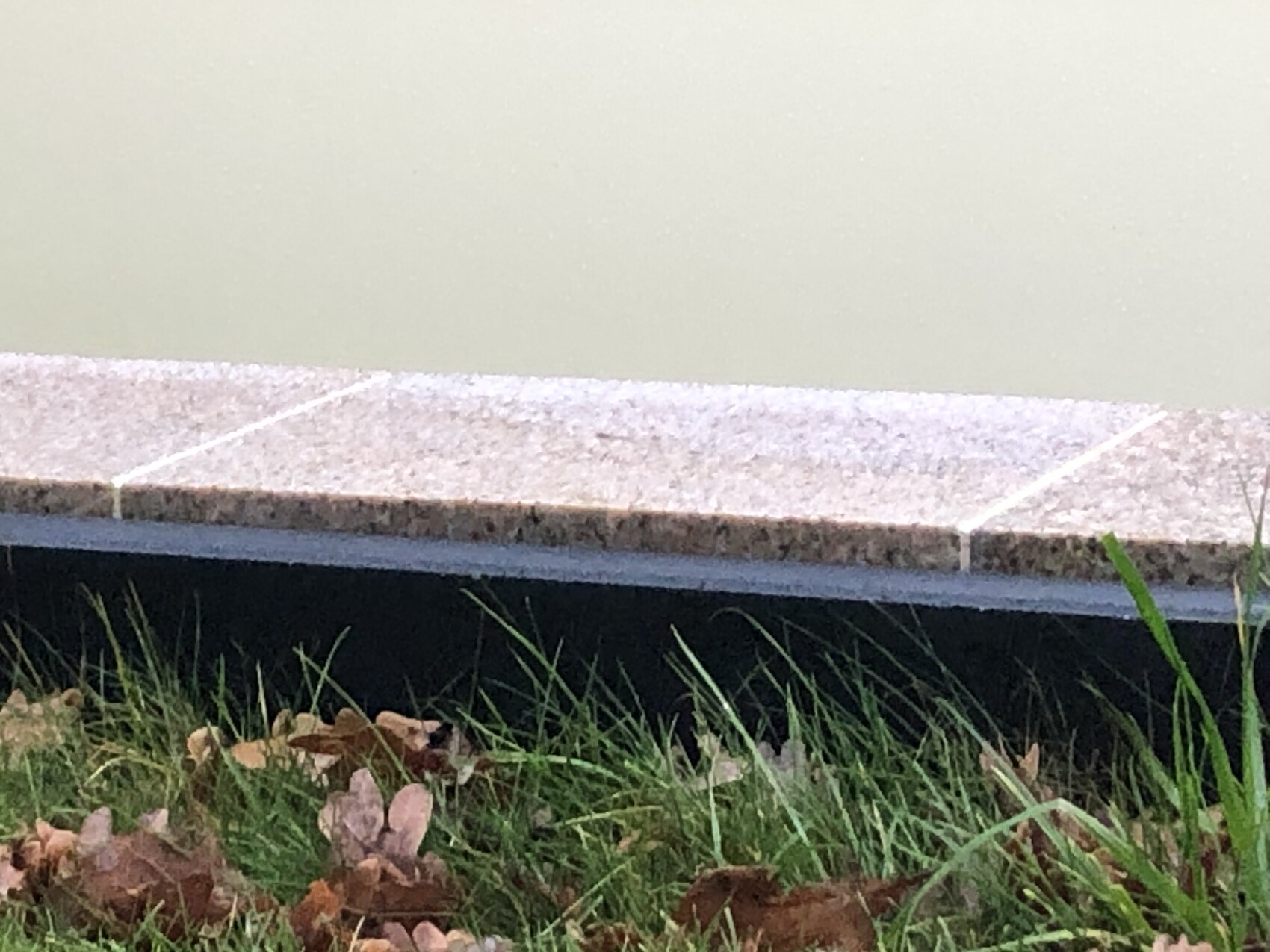 Steinplatte mit zwei weißen Linien, Rand über Gras mit Herbstlaub, Wasser dahinter.
