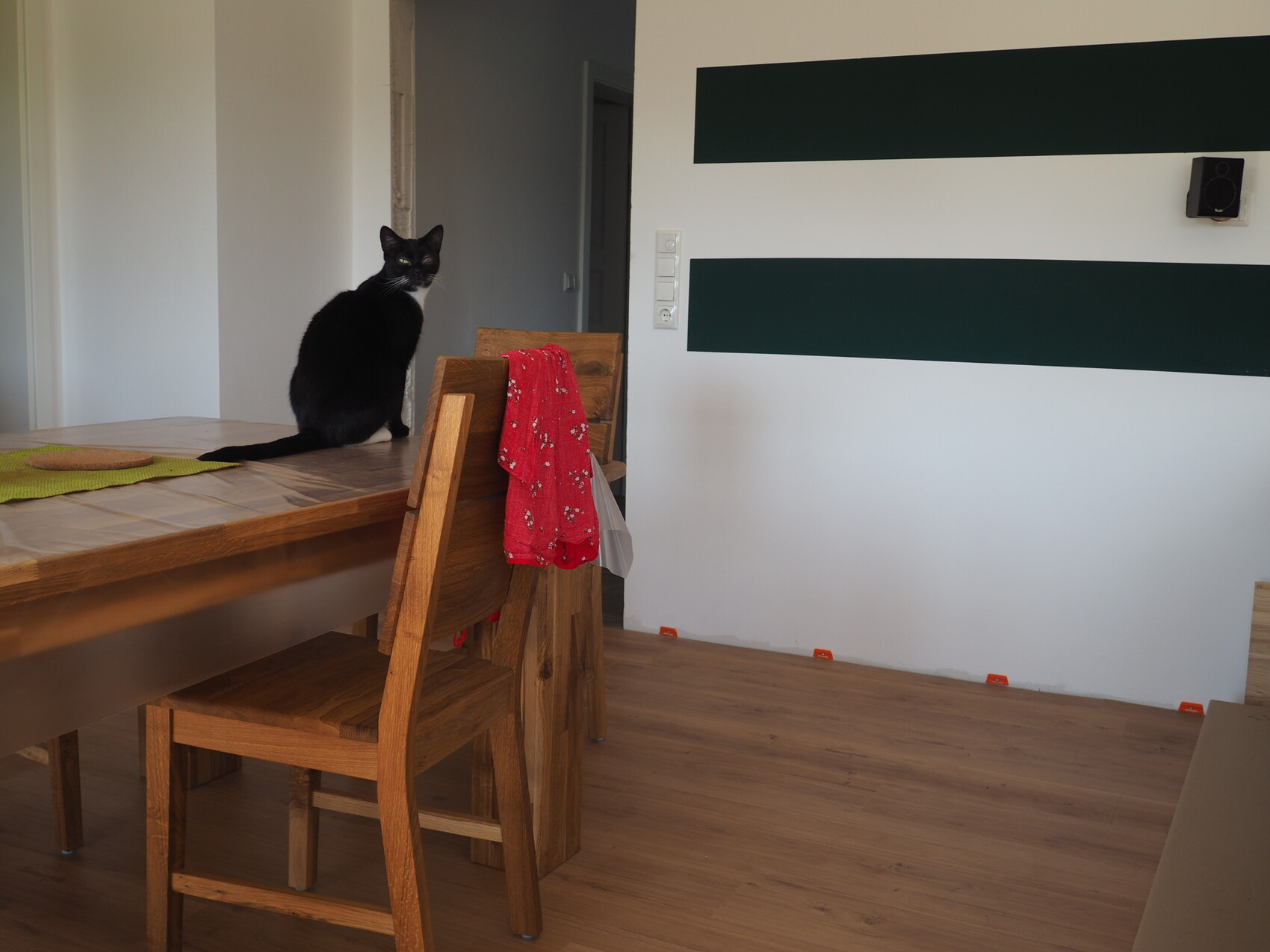 Schwarze Katze sitzt auf einem Holztisch in modernem Esszimmer; roter Schal hängt am Stuhl.