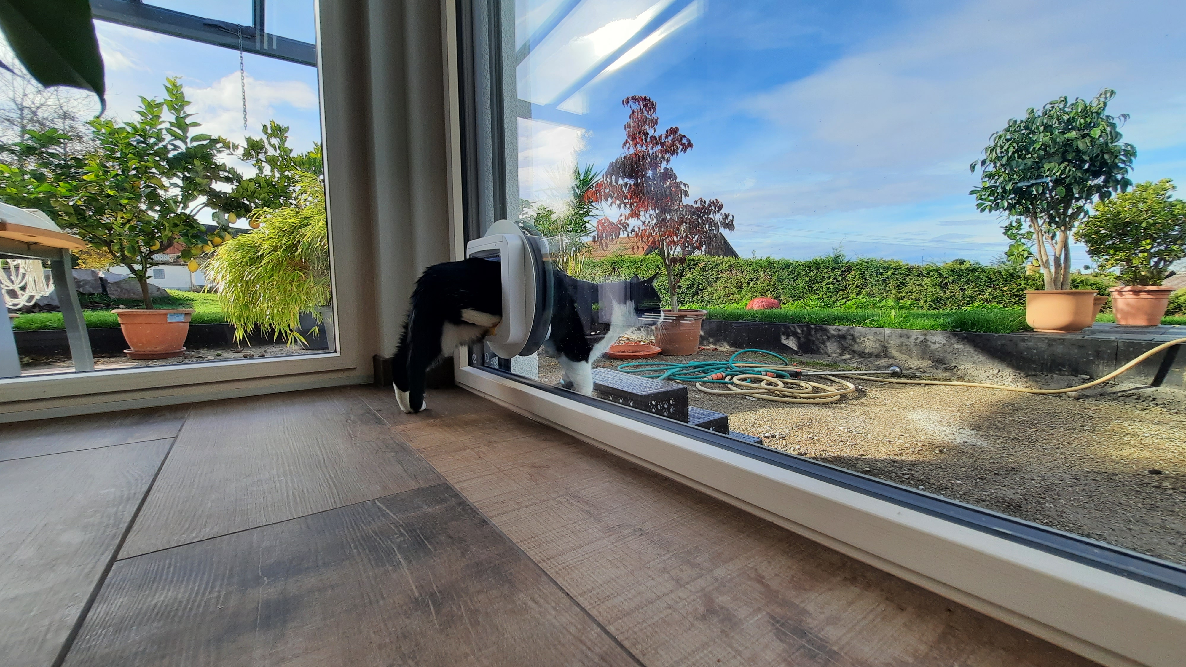 katzenklappe-an-kfw55-haus-mit-lueftung-erfahrungen-549422-2.jpg