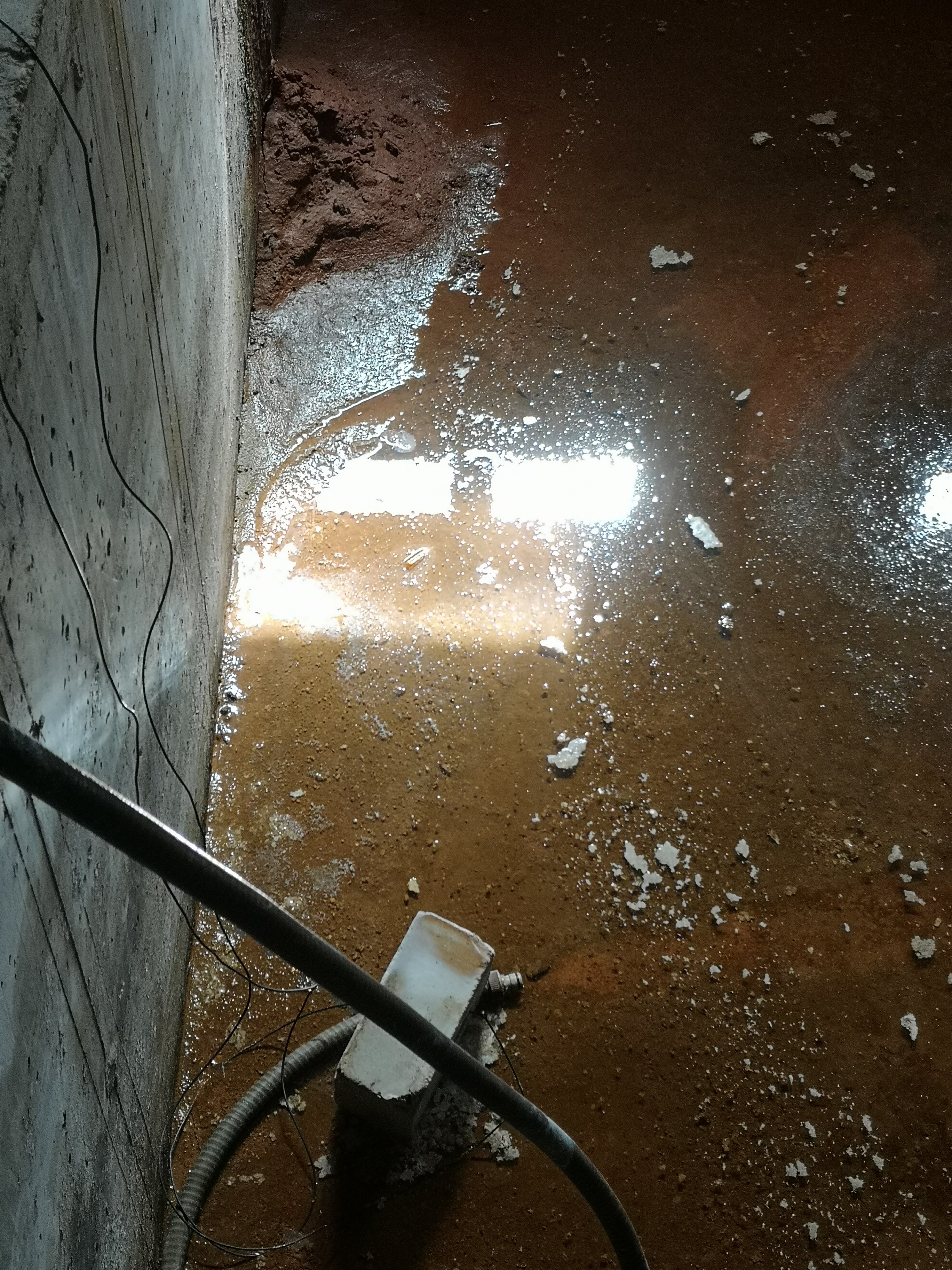 kauf-von-efh-wasser-laeuft-in-den-keller-322246-5.jpg