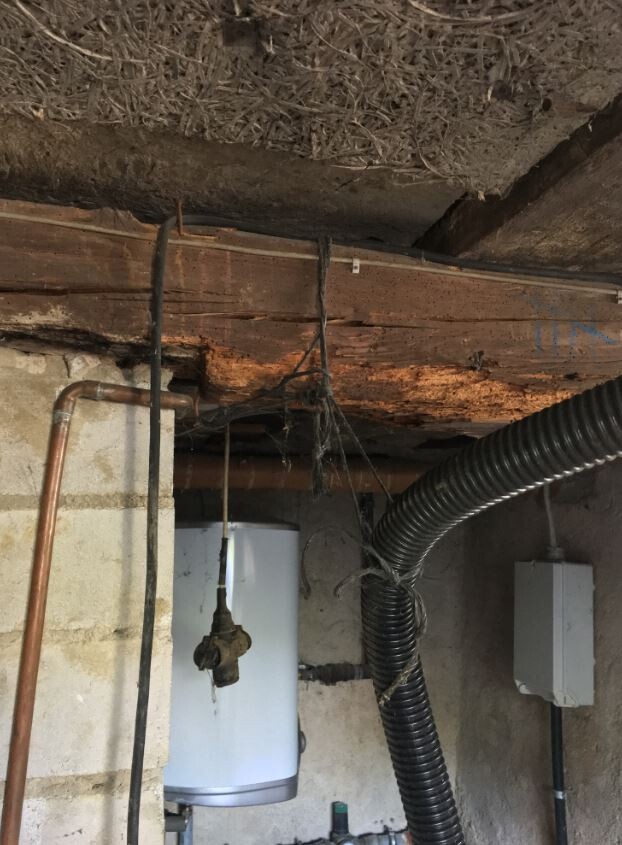 Kellerraum mit Warmwasserspeicher, Kupferrohren, schwarzem Flexrohr und Holzbalken.