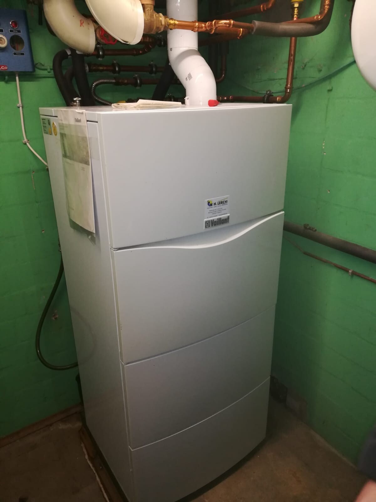 Gasheizkessel Vaillant im grün gestrichenen Keller mit sichtbaren Rohren darüber.