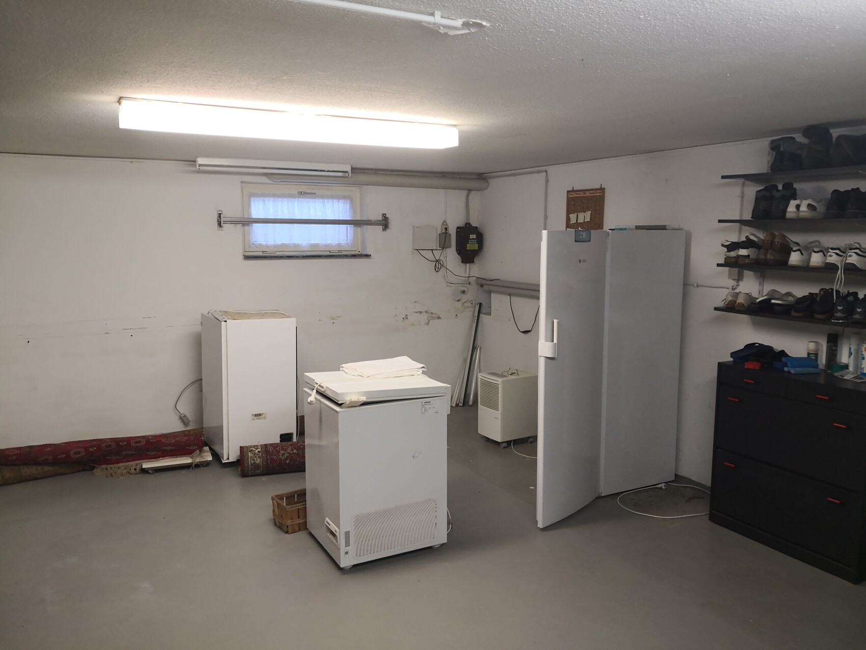 Kellerraum mit zwei Gefriergeräten, Schuhregalen an der Wand und Kasten rechts.