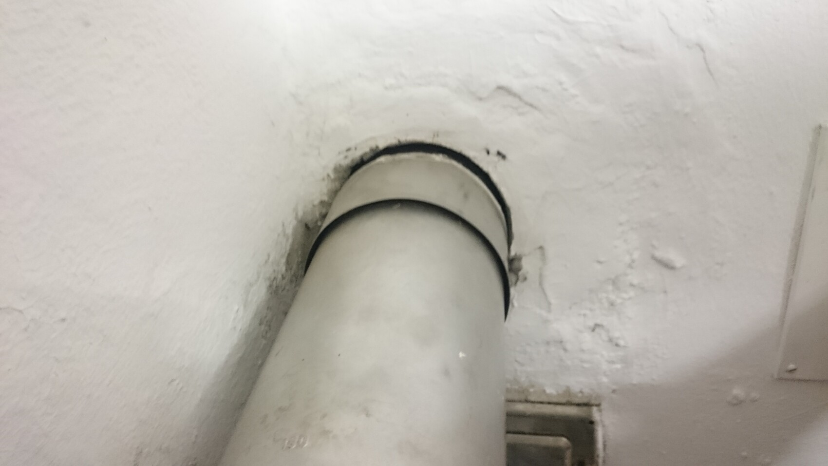Graues Abflussrohr führt senkrecht durch eine weiße Wand; Dichtungsring sichtbar