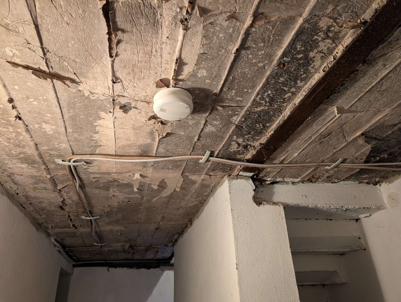 Kellerdecke mit Dämmung, sichtbare Kabel, Rauchmelder an der Decke