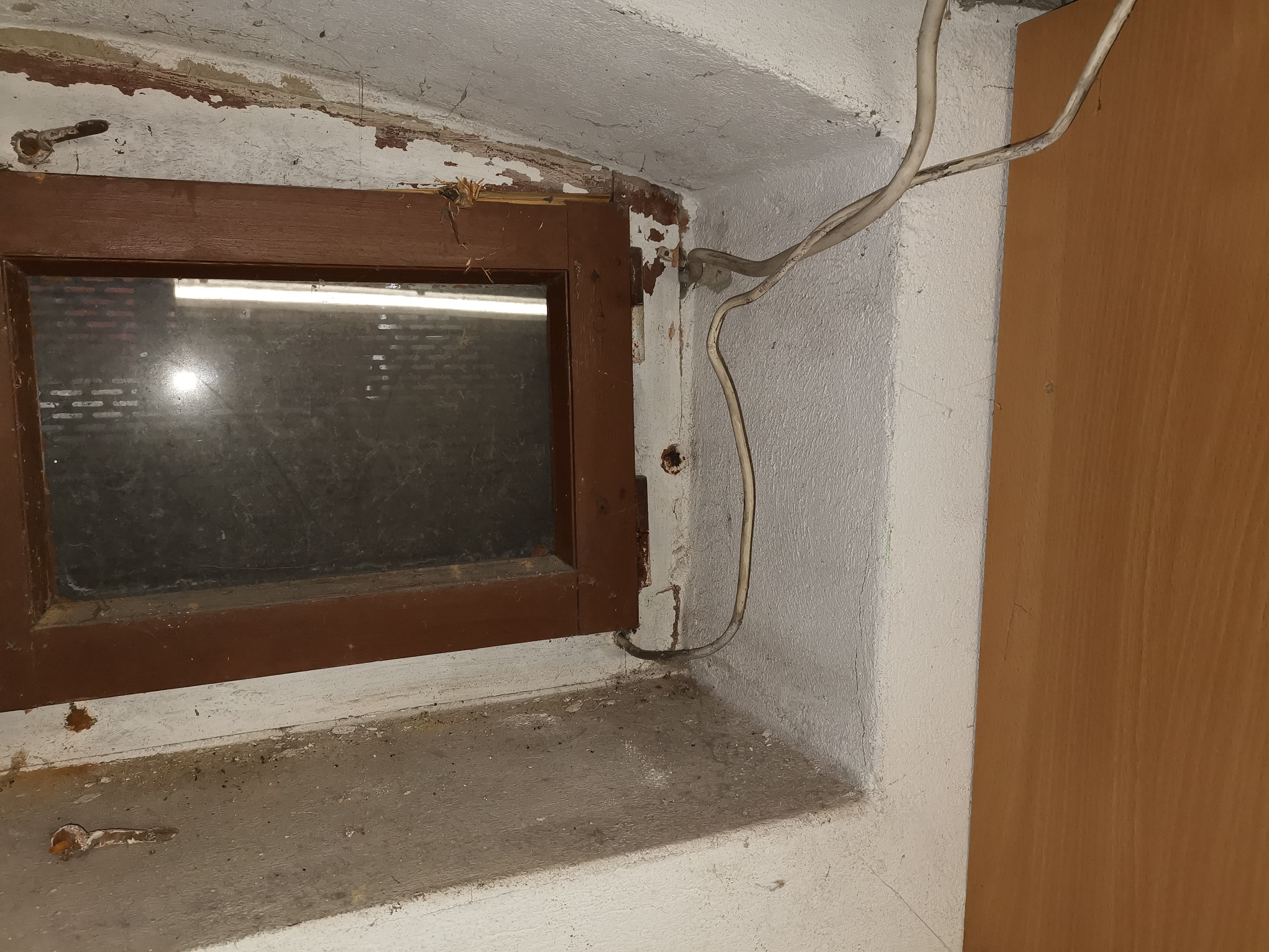 kellerfenster-tauschen-fundamenterder-im-weg-349743-1.jpg