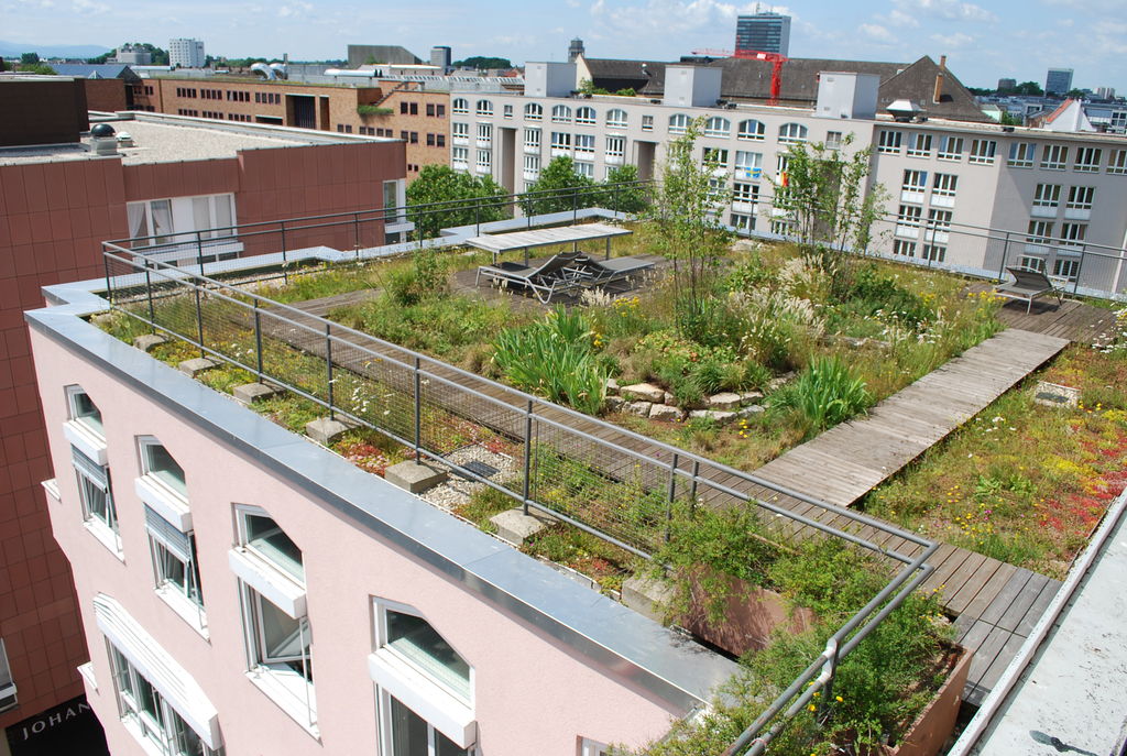 kettenhaus-auf-240qm-grundstueck-grundsatzfragen-machbar-293238-2.jpg