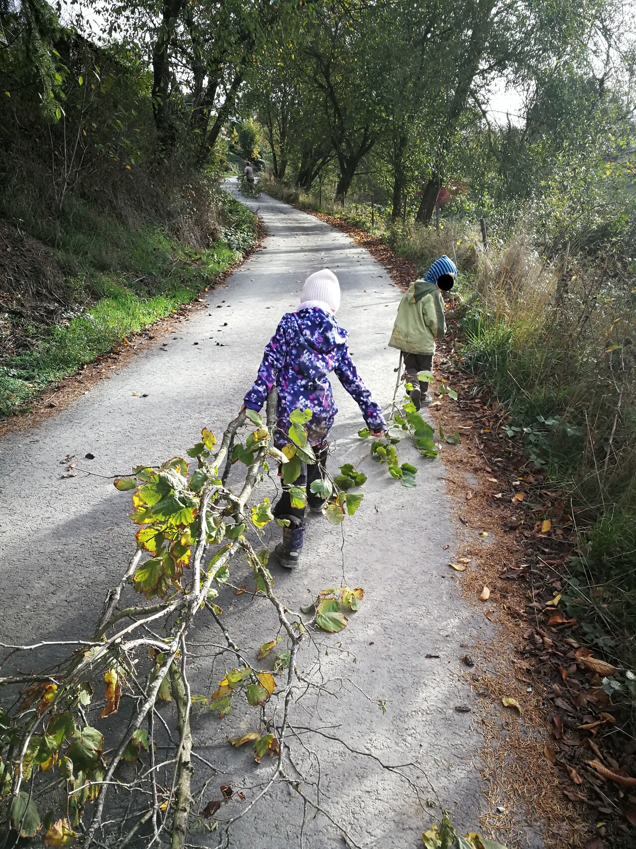 Zwei Kinder gehen auf einem Waldweg im Herbst; eines zieht einen Ast mit Laub hinter sich.