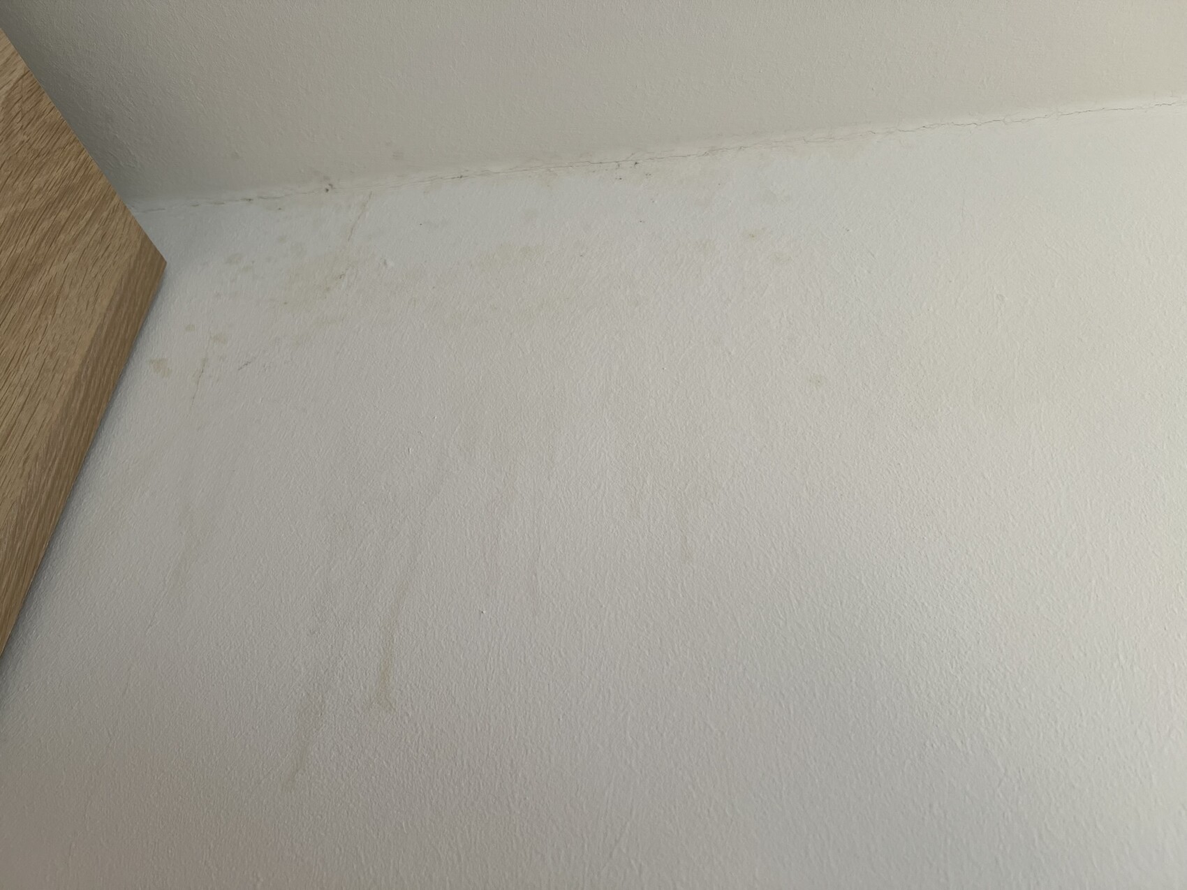 Weiße Wand in einer Raumecke, links sichtbarer Holzregalrand, Oberfläche mit Flecken und Strukturen.