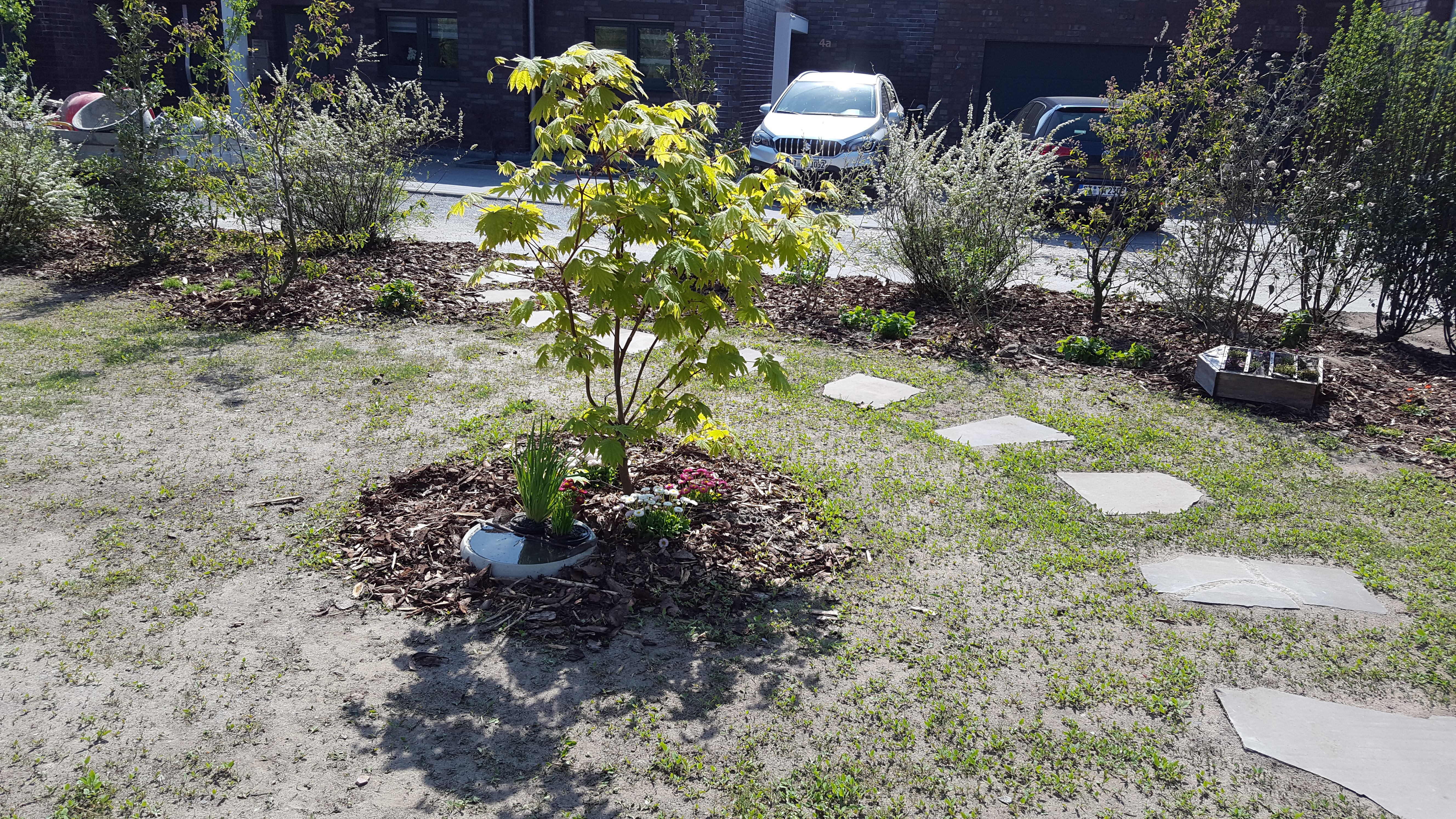 kleiner-garten-mit-baum-steinplatten-pflanzen-beete-und-parkende-autos-im-hintergrund.jpg