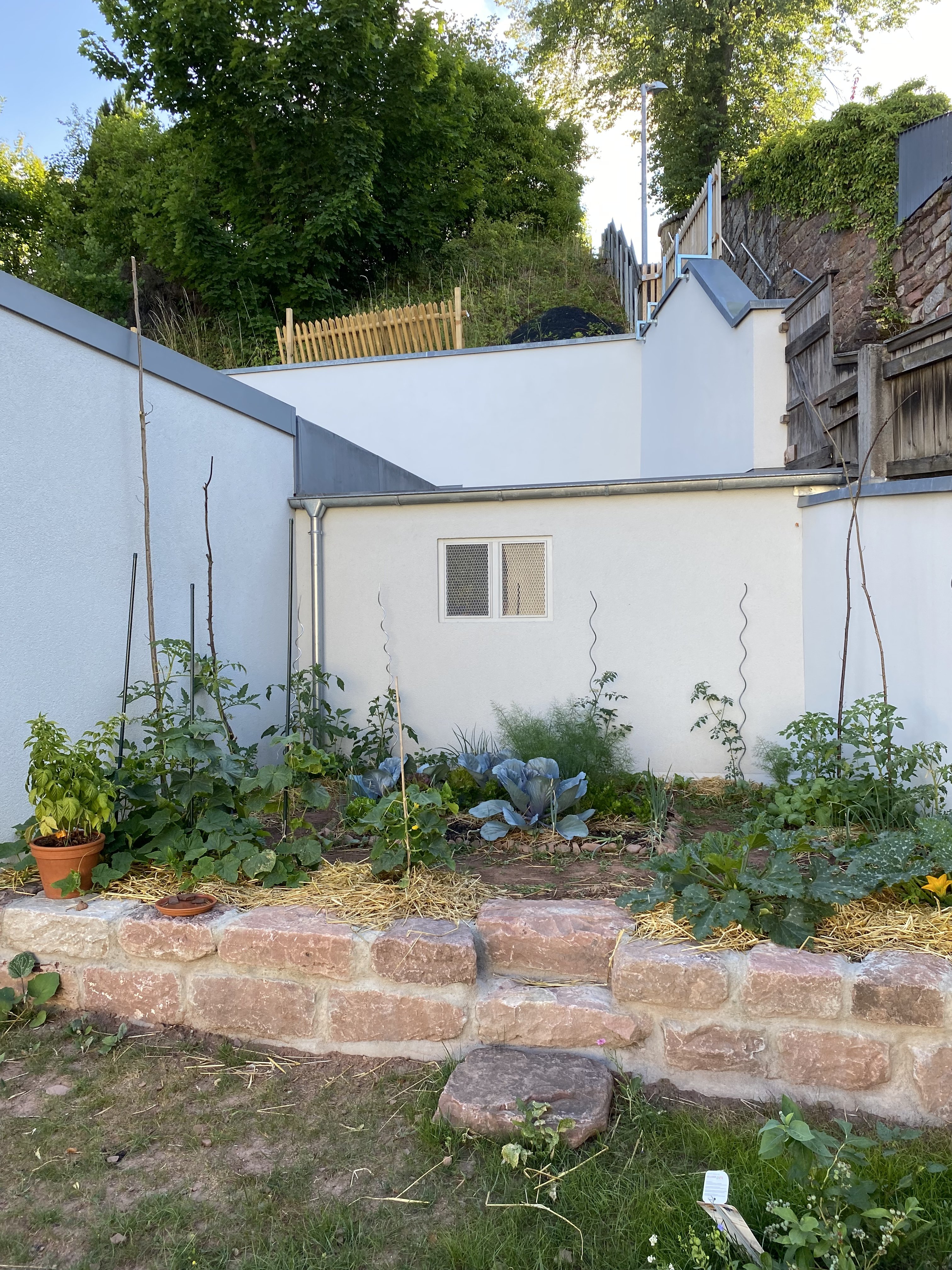 kleiner-garten-mit-beeten-und-steinmauer.jpeg