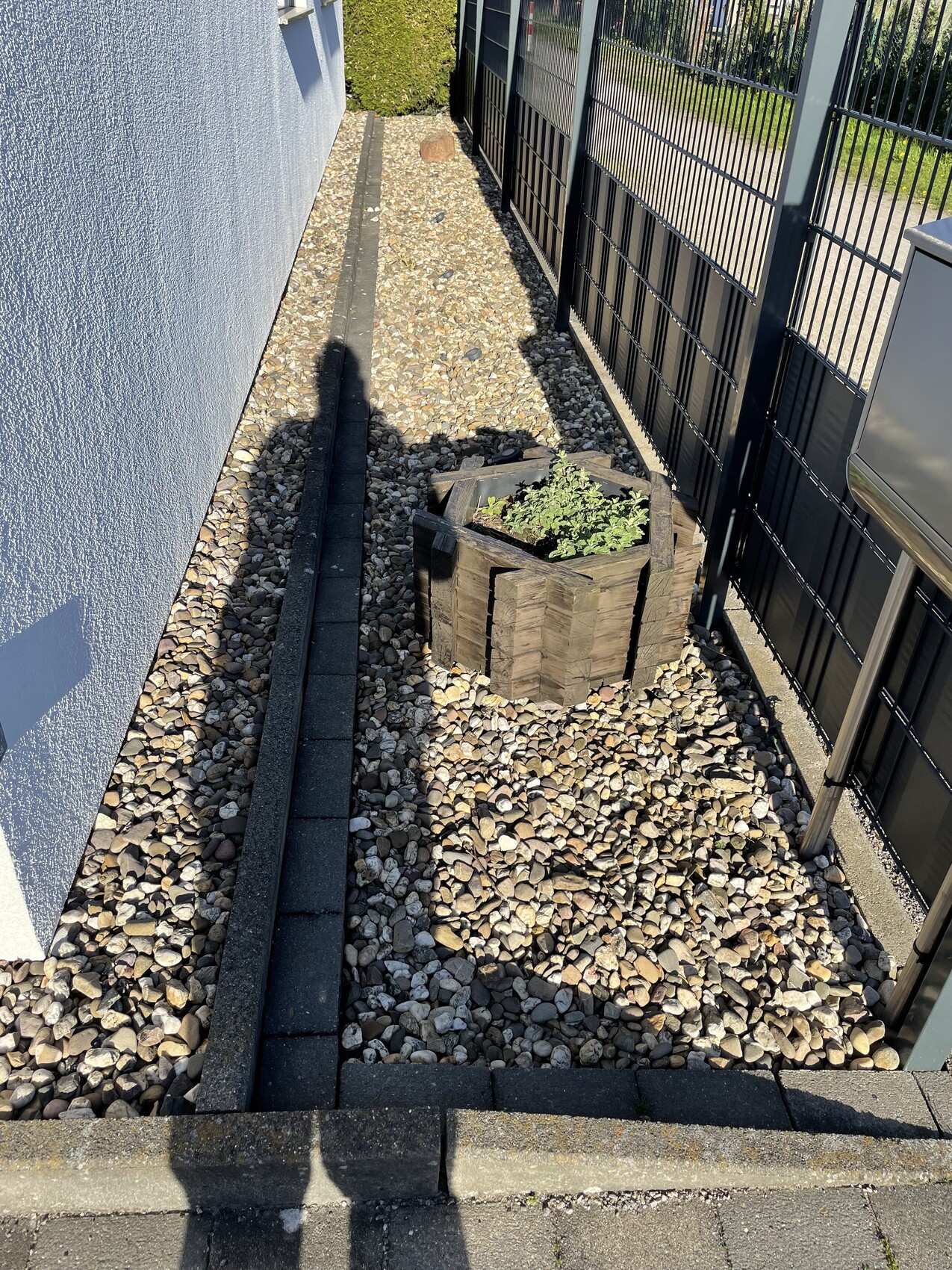 Schmaler Kiesweg neben blauem Haus und Metallzaun; Holzpflanzkübel mit Pflanze, Schatten.