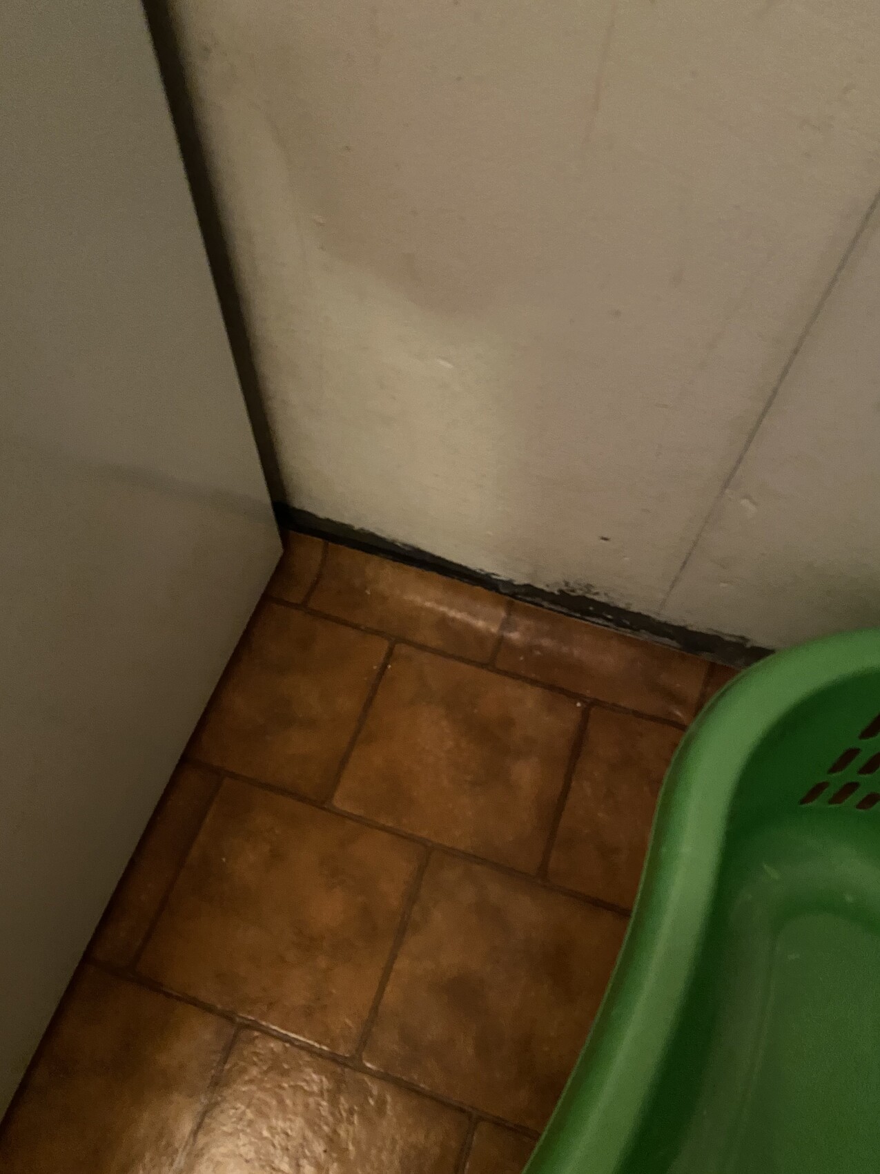 Ecke eines Raums mit braunen Fliesenboden, heller Wand und grünem Wäschekorb.