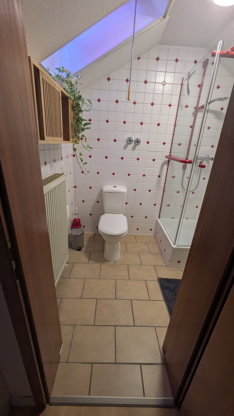Kleines Badezimmer mit Toilette und Dusche, weiße Fliesen mit roten Diamanten und Pflanze
