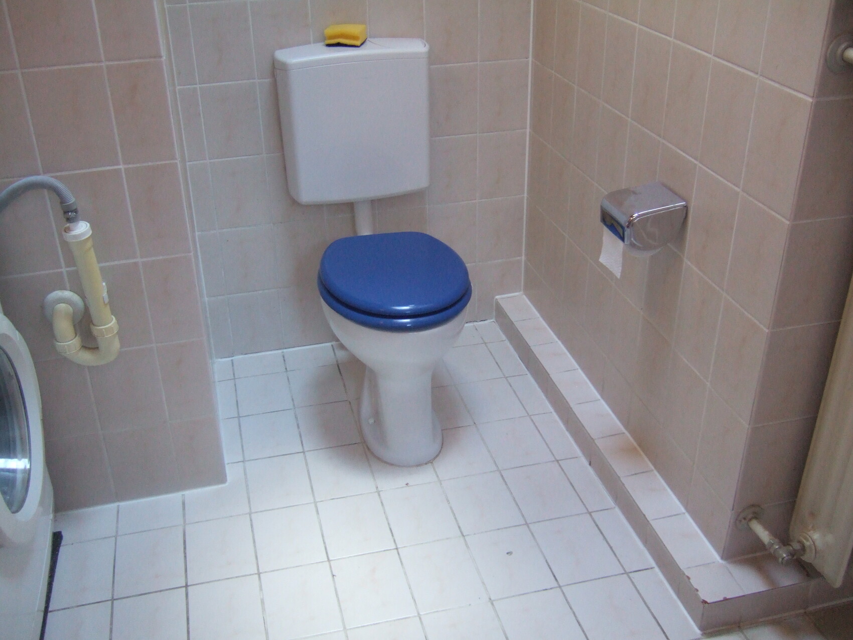 Kleines Badezimmer mit weißem Spülkasten, blauer Toilettensitz und gelbem Schwamm oben.