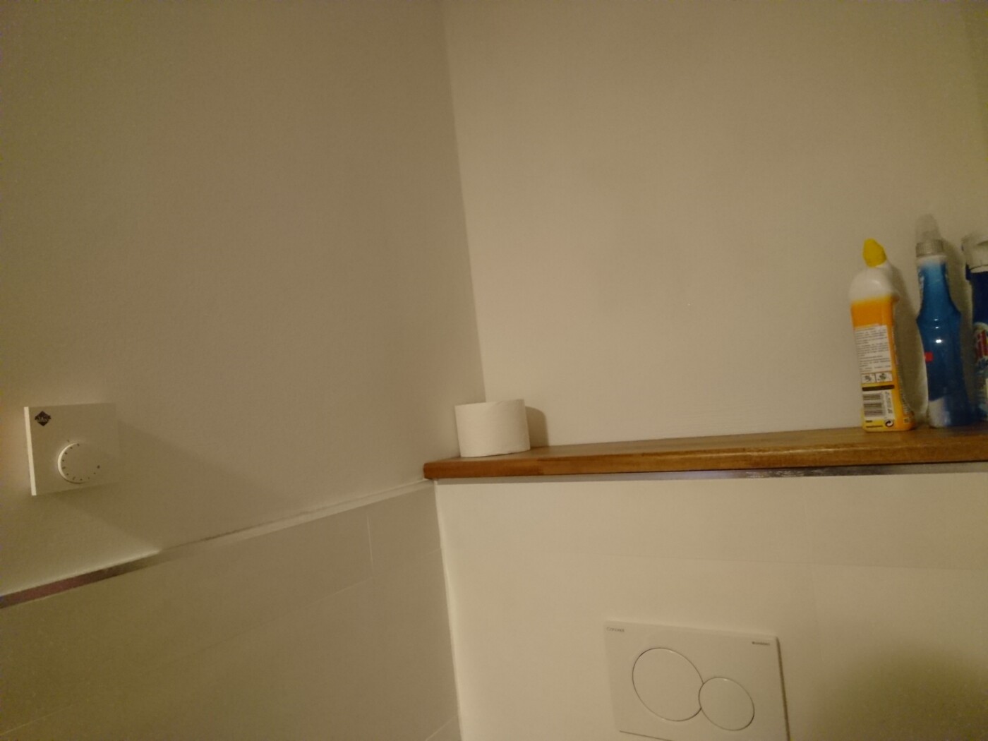 Badezimmer-Wand mit Holzablage, Toilettenpapierrolle, WC-Dualspülkasten, Reinigungsmittel rechts.