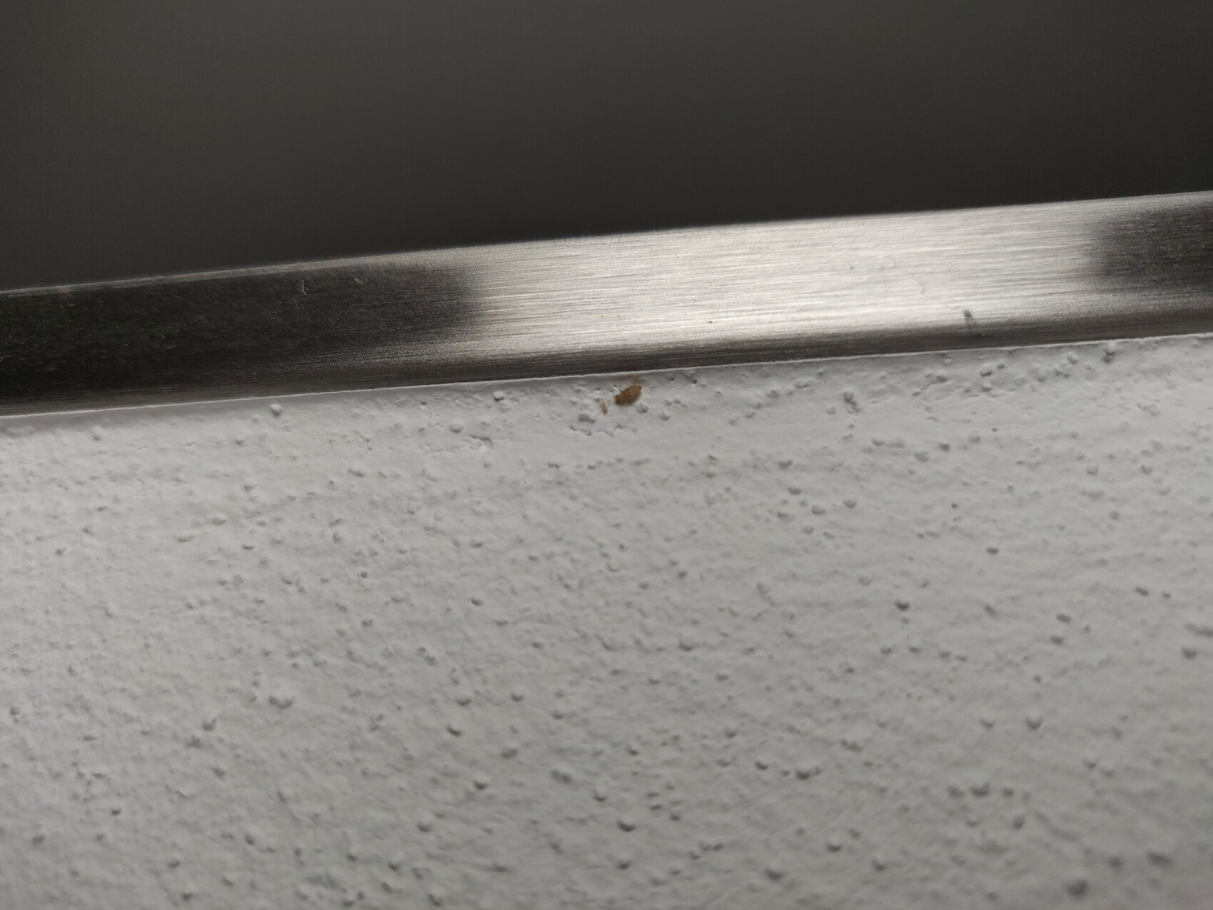 Schmale gebürstete Metallleiste über einer rauen weißen Wand; braunes Teil liegt auf der Wand.