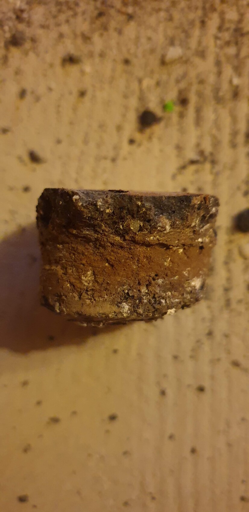 Kleiner, rostiger Metallring mit Erdkrümeln auf braunem Holzboden.