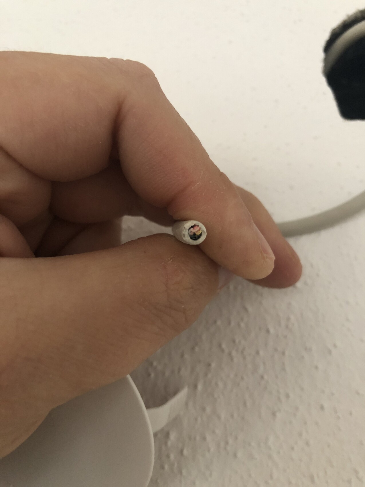 Hand hält freigelegtes Drahtende einer isolierten Leitung, sichtbare Metallfäden.