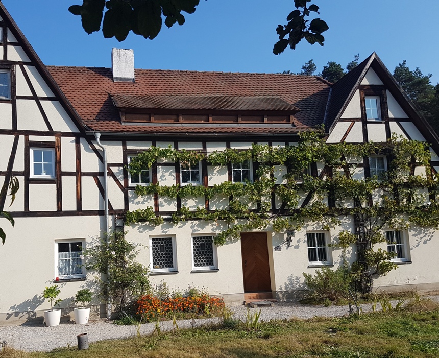 kletterpflanzen-am-haus-ja-oder-nein-erfahrungswerte-319320-1.jpg