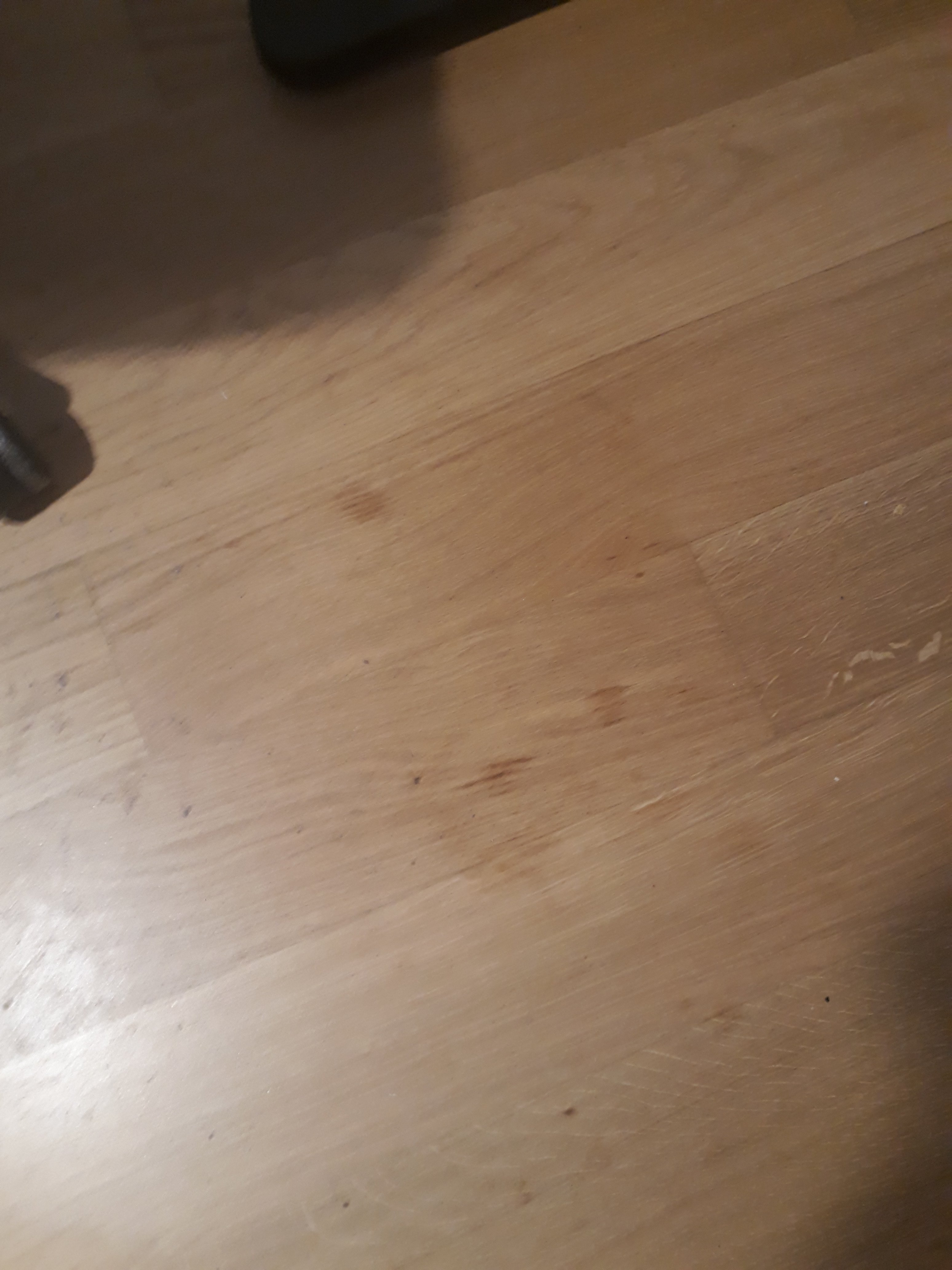 1660807857851.jpeg