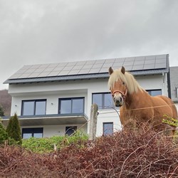 kosten-photovoltaik-mit-speicher-511467-1.jpg