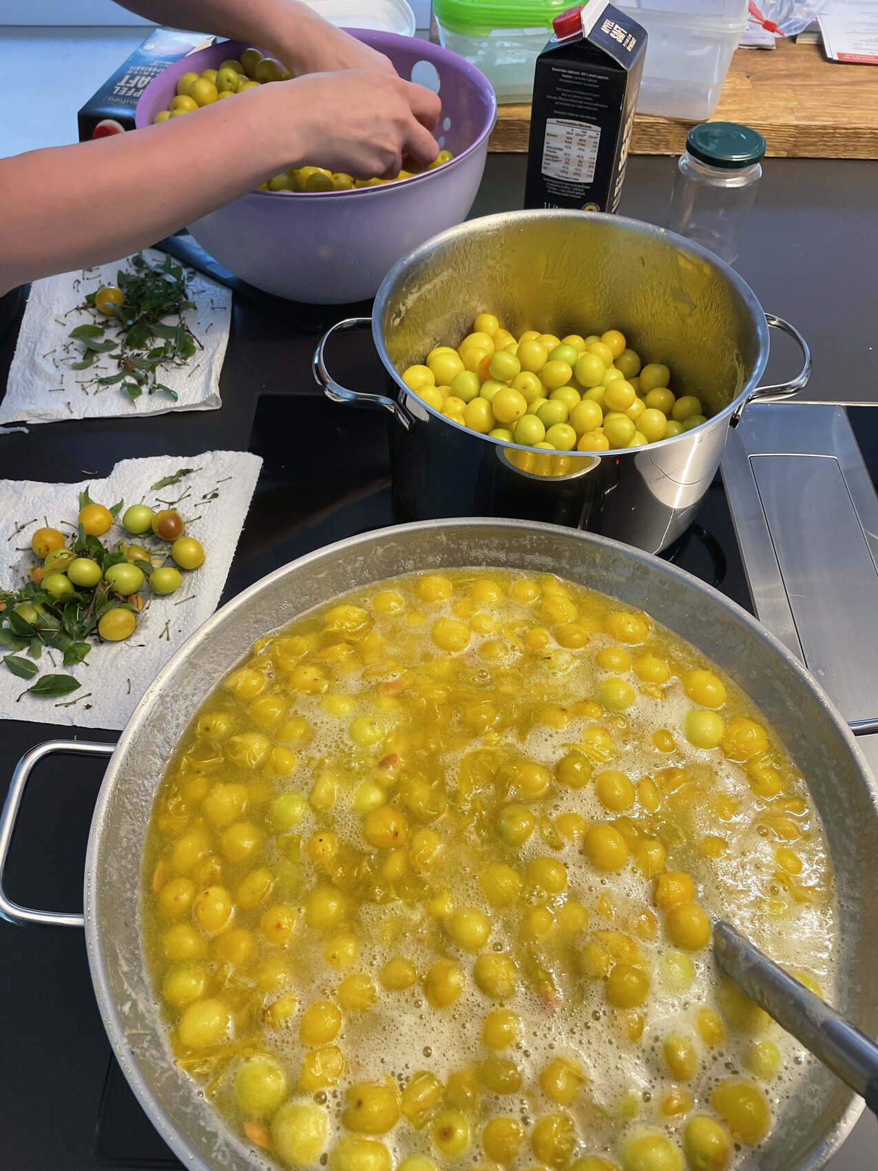 Kochender Topf voller gelber Mirabellen in Sud; Hand sortiert weitere Früchte in Schüssel.