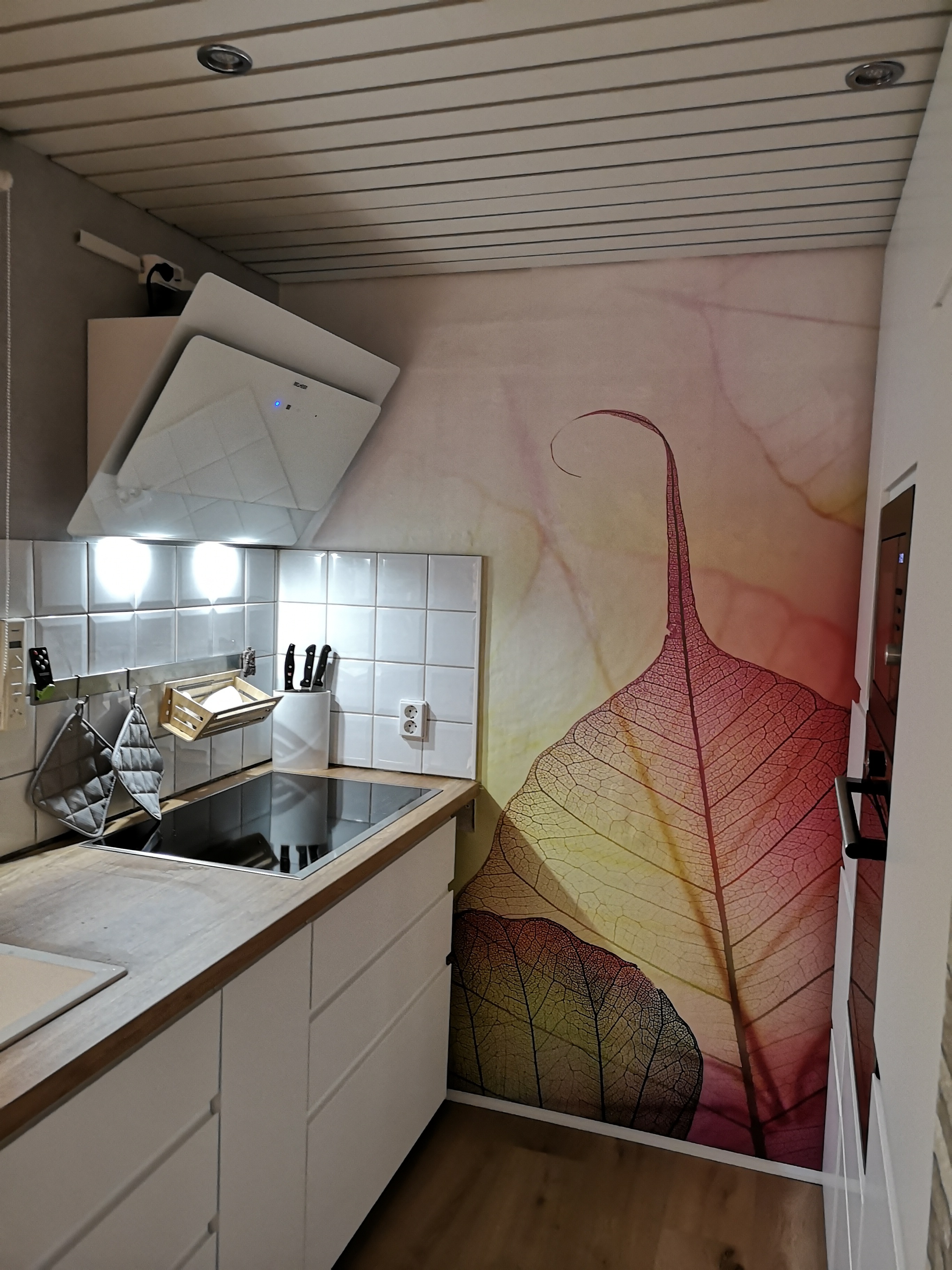 kuechenbilder-thread-zeigt-her-eure-kuechen-364346-4.jpg