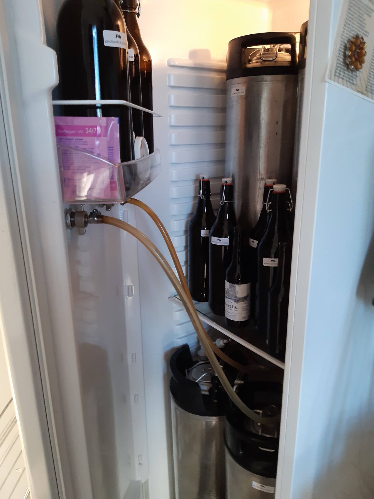 Kühlschrank-Innenansicht mit mehreren Weinflaschen, einem Edelstahl-Kessel und Schlauchleitungen.