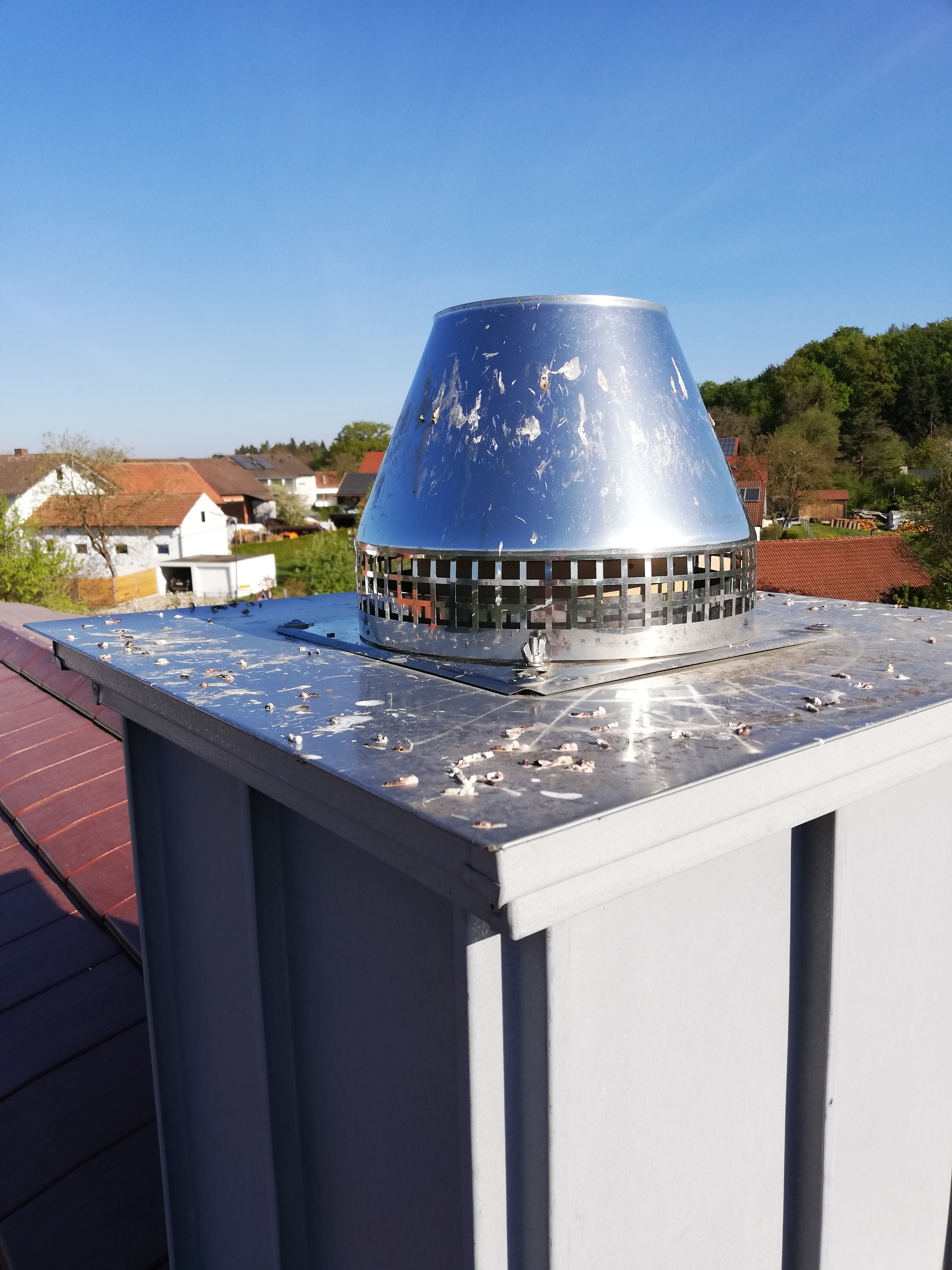 laermbelaestigung-durch-voegel-auf-dem-kamin-397331-1.jpg