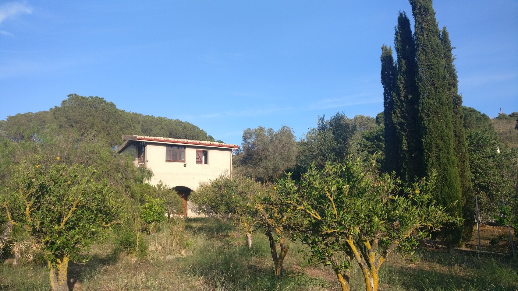 Kleines Landhaus im Garten mit Obstbäumen, Zypressen und blauem Himmel.