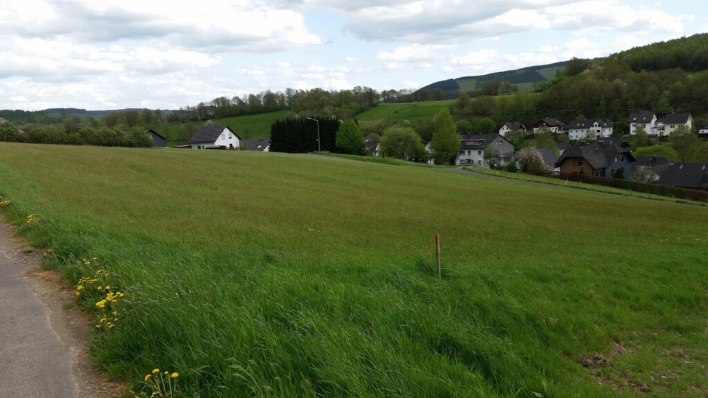 Landschaft mit grünem Feld, Hügeln und Dorfhäusern am Hang, Weg am linken Rand.