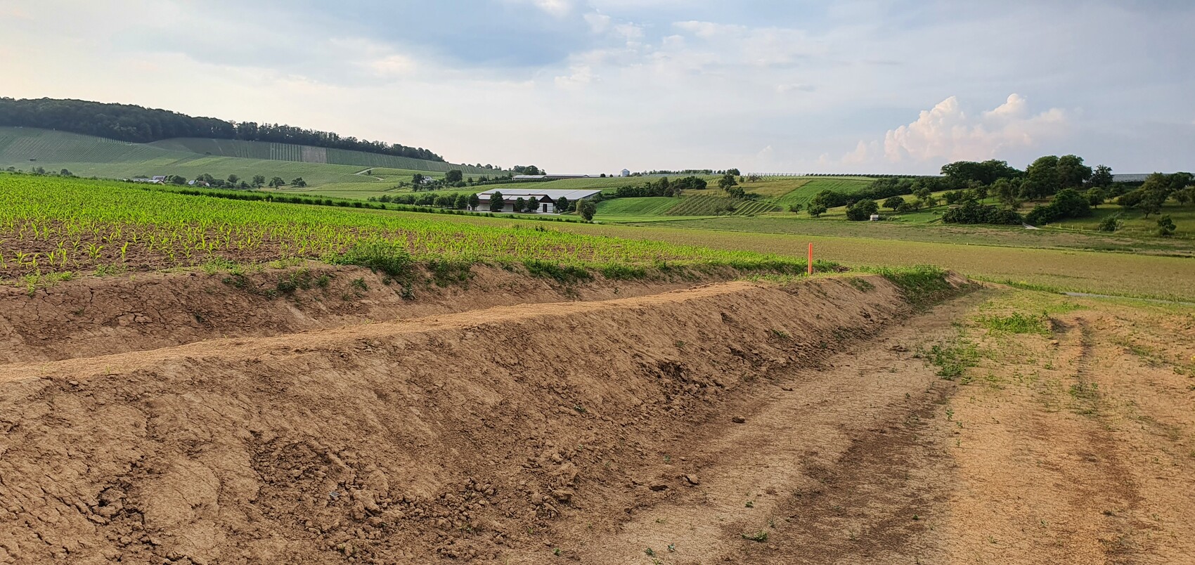 Ländliche Landschaft: Acker, unbefestigte Böschung, grüne Felder und Farmgebäude am Horizont.
