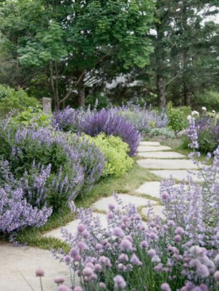 Gartenweg aus Steinplatten, umgeben von Lavendel, mit Bäumen im Hintergrund.