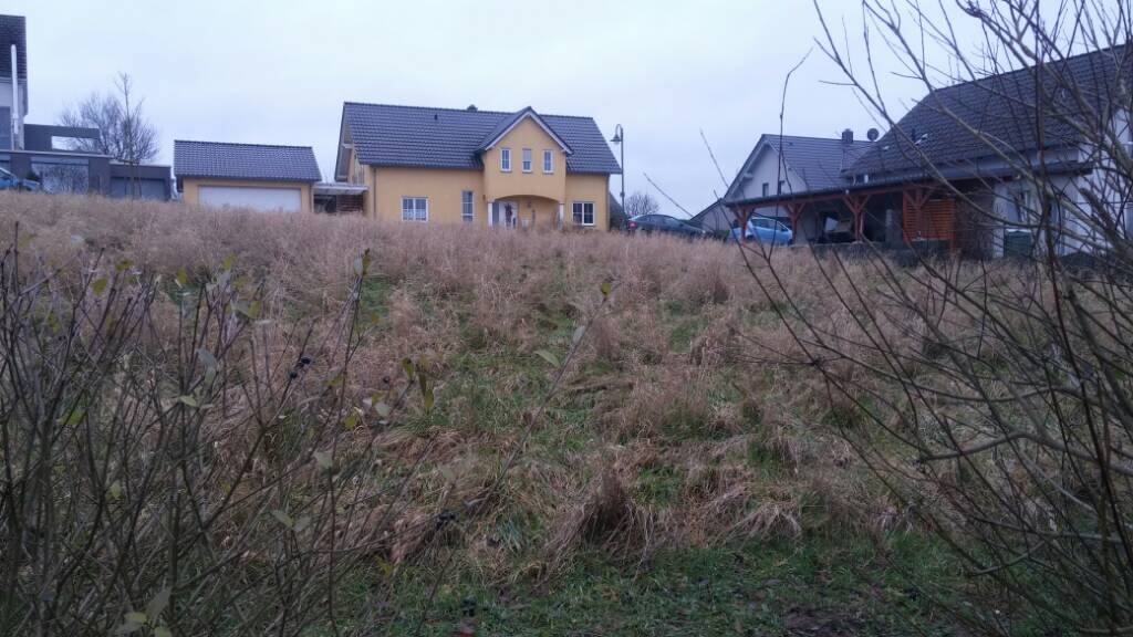 Blick auf eine Wohnsiedlung: gelbes Haus in Mitte, Autos am Carport, kahle Sträucher im Vordergrund.