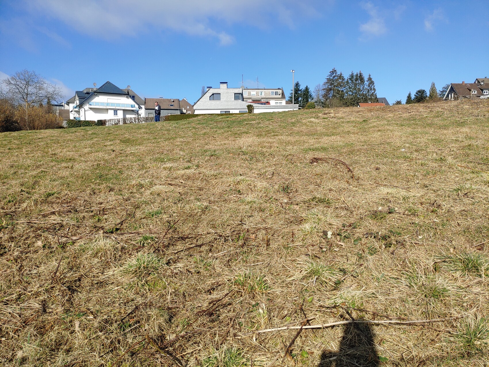 Trockenes Grasfeld im Vordergrund; Häuserzeile im Hintergrund, Person steht links.
